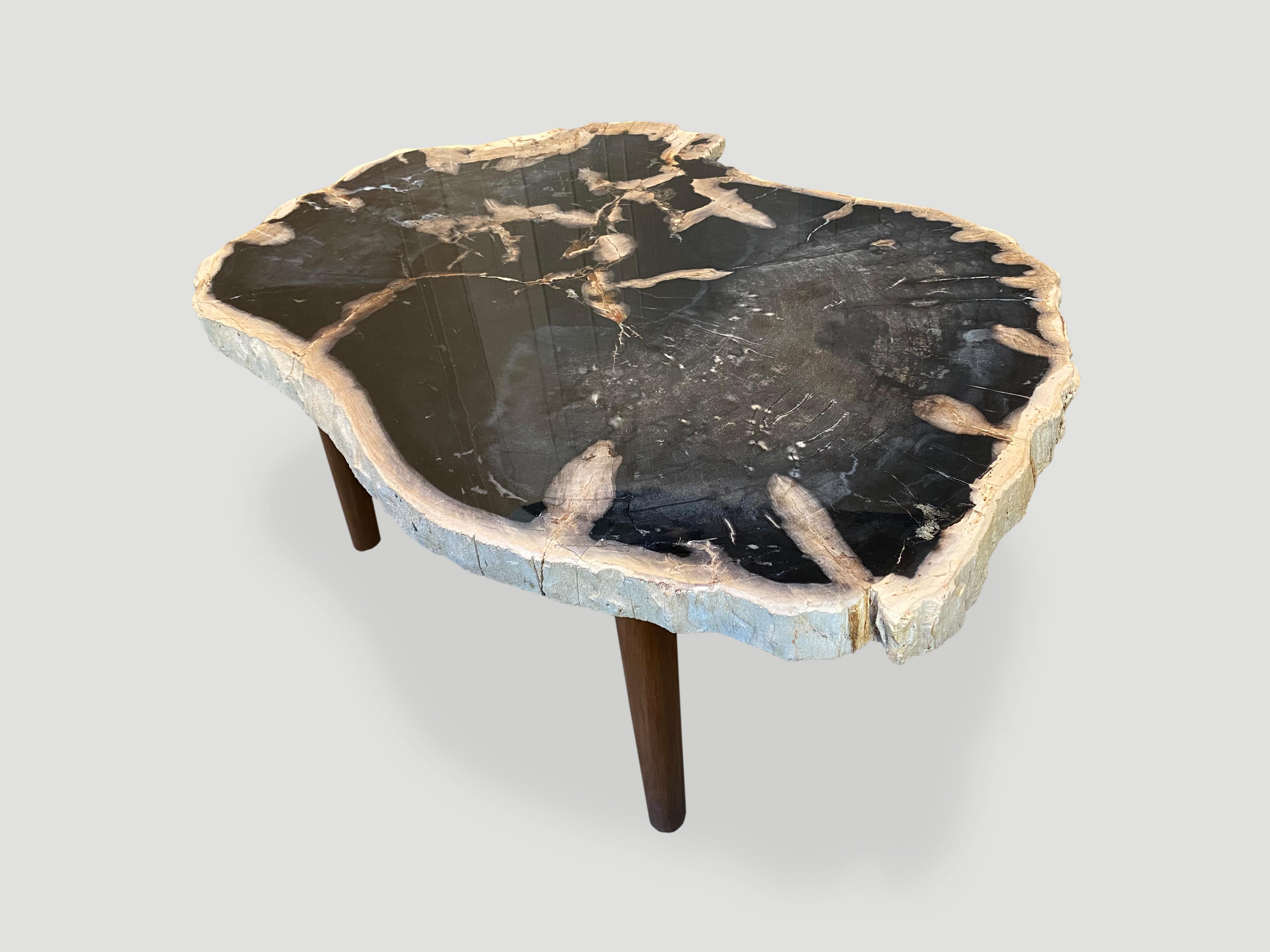 petrified wood slab coffee table resting on a natural teak base