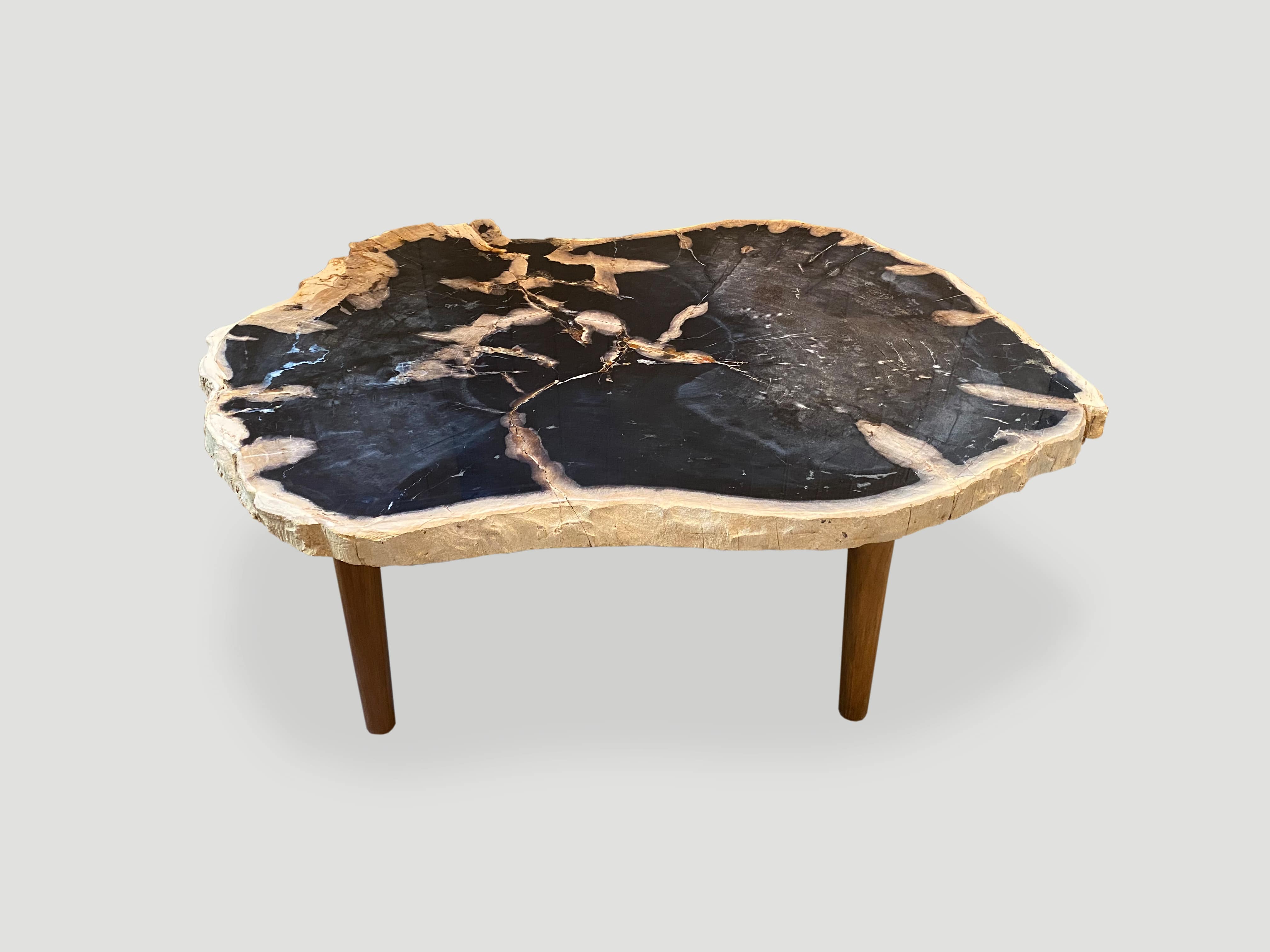 petrified wood slab coffee table resting on a natural teak base