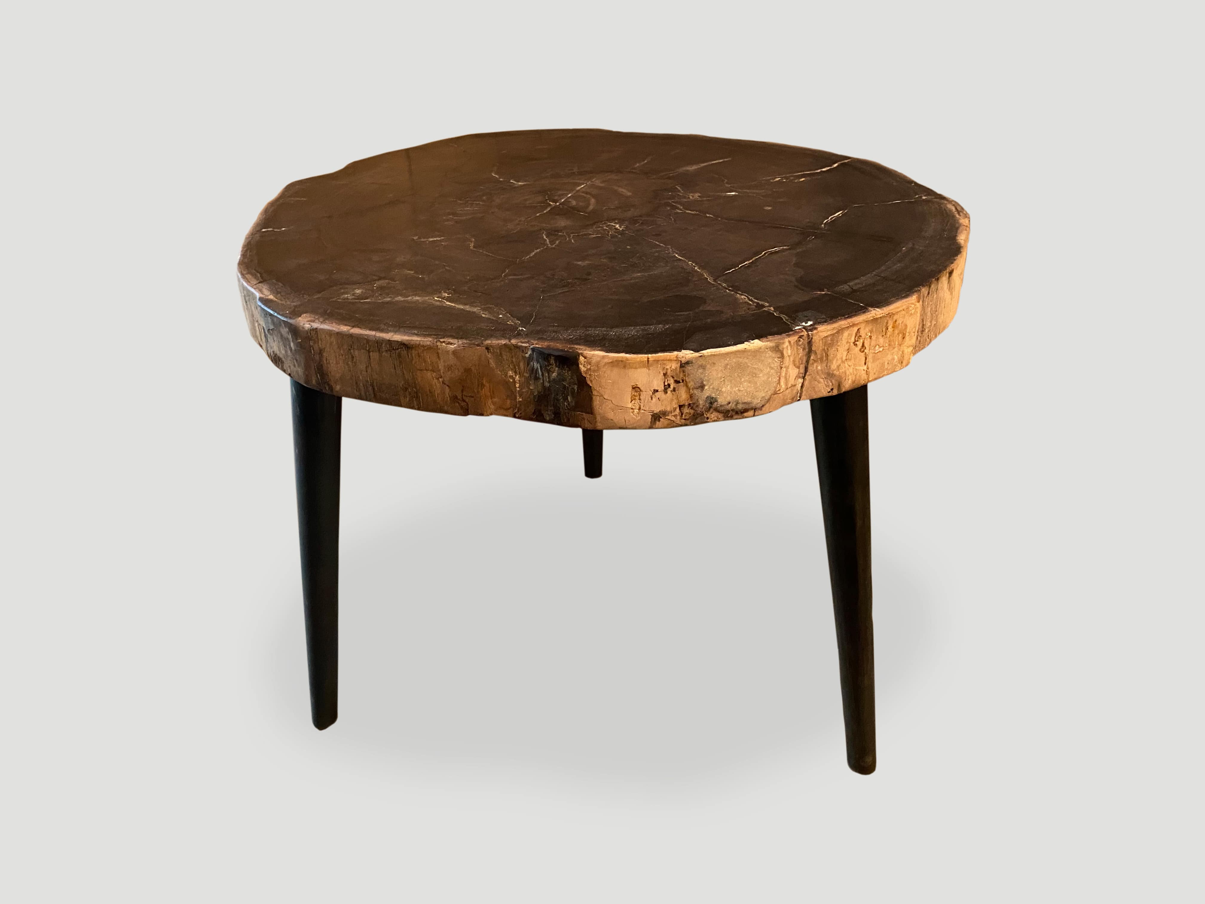 petrified wood slab top side table