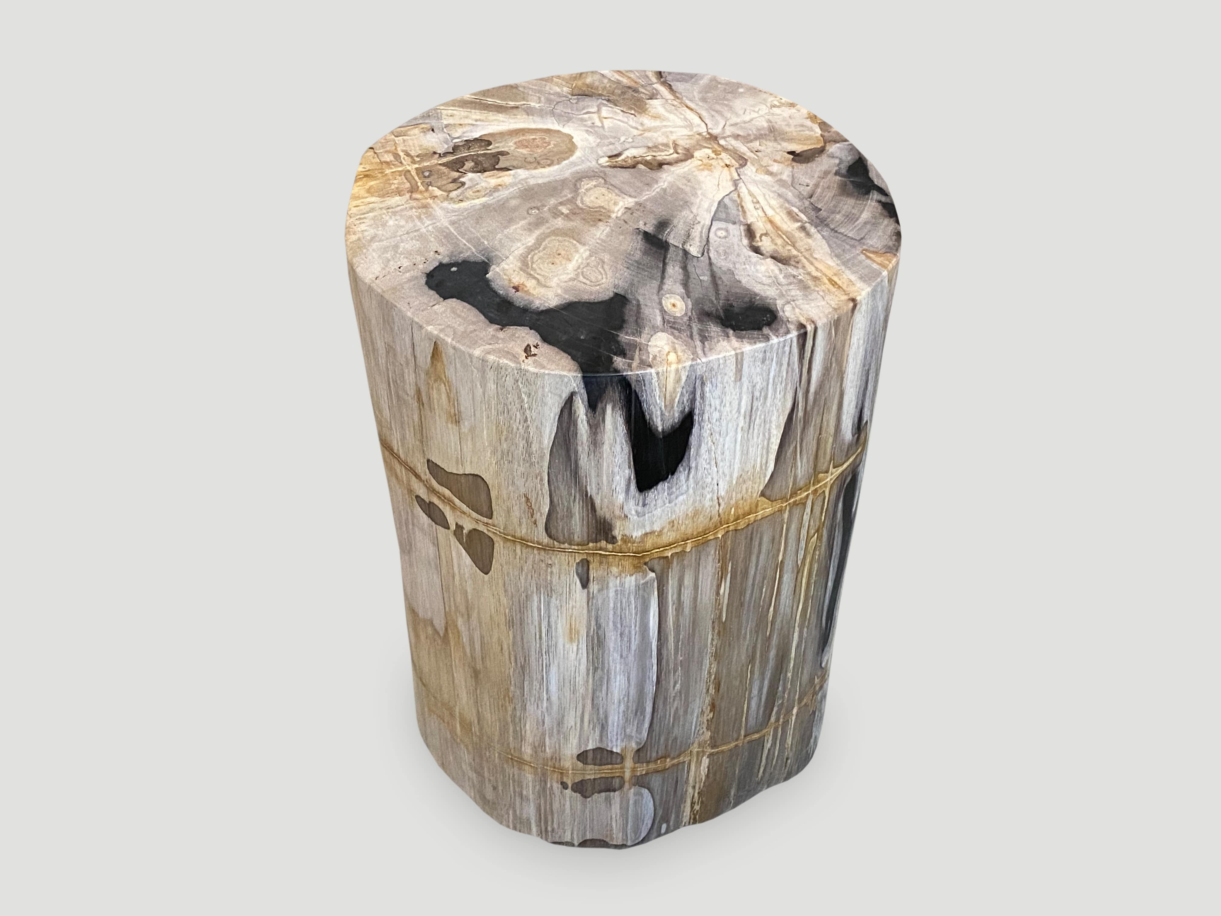 High Quality Petrified Wood Side Table 691RK Andrianna Shamaris