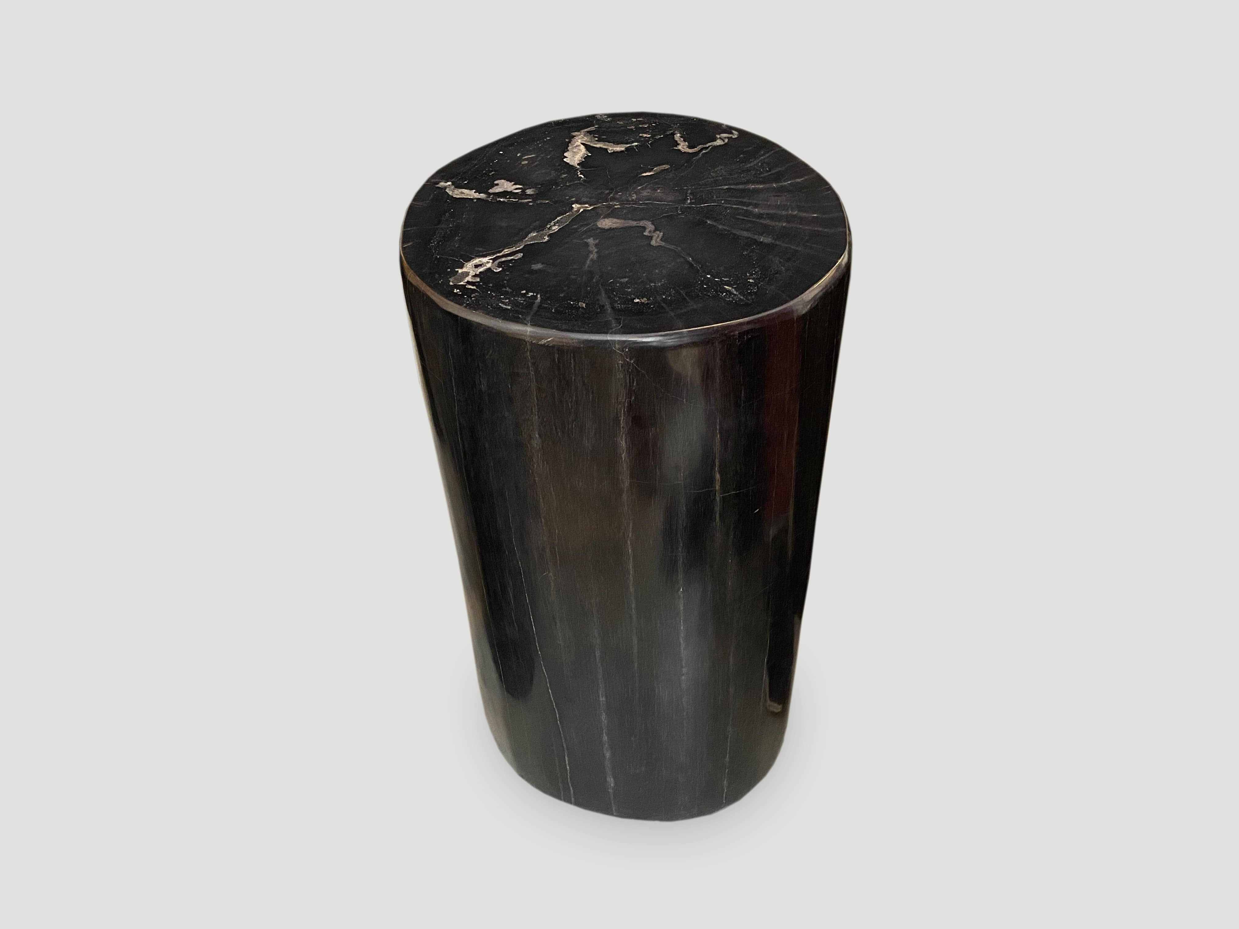 Super Smooth High Quality Petrified Wood Side Table 698k Andrianna Shamaris