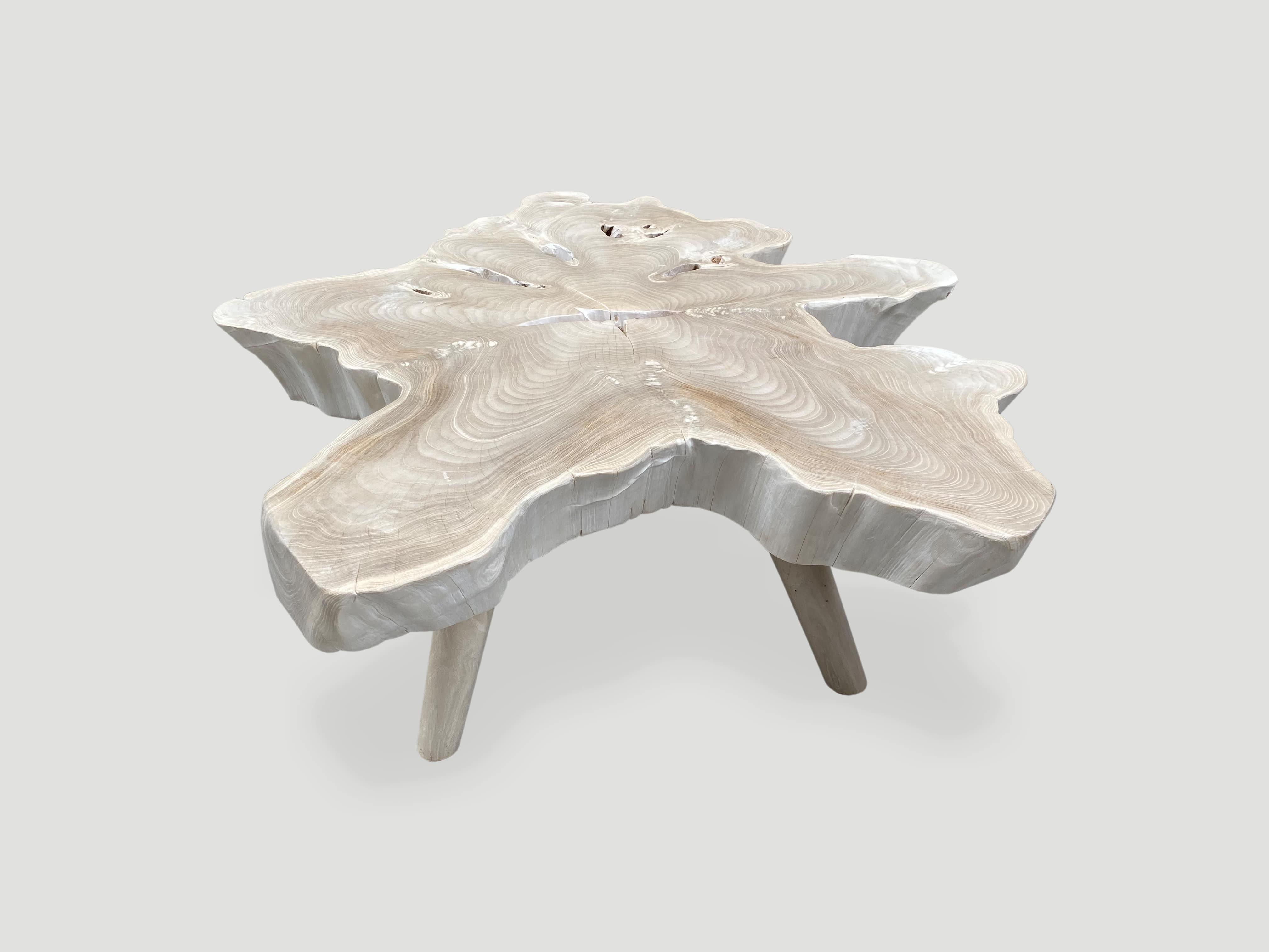 single slab reclaimed teak wood coffee table