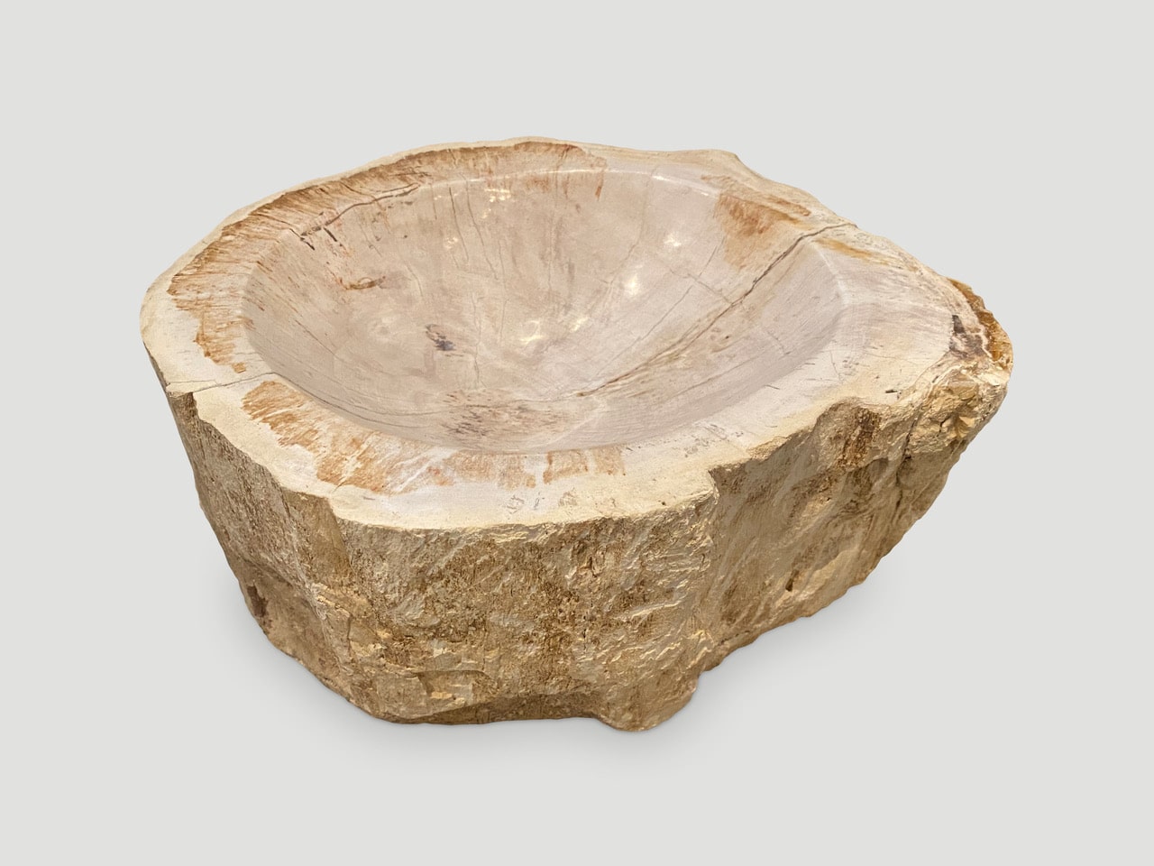 Petrified wood bowl