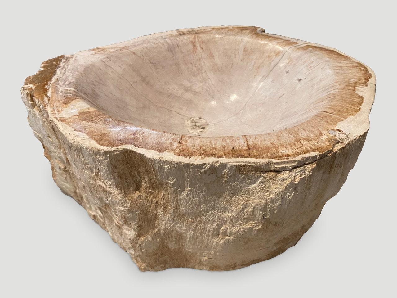 petrified wood bowl