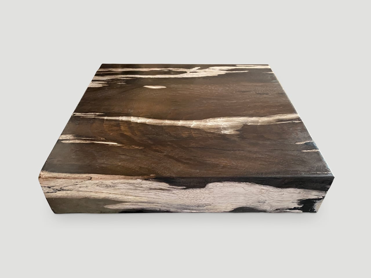 petrified wood black and white toned slab