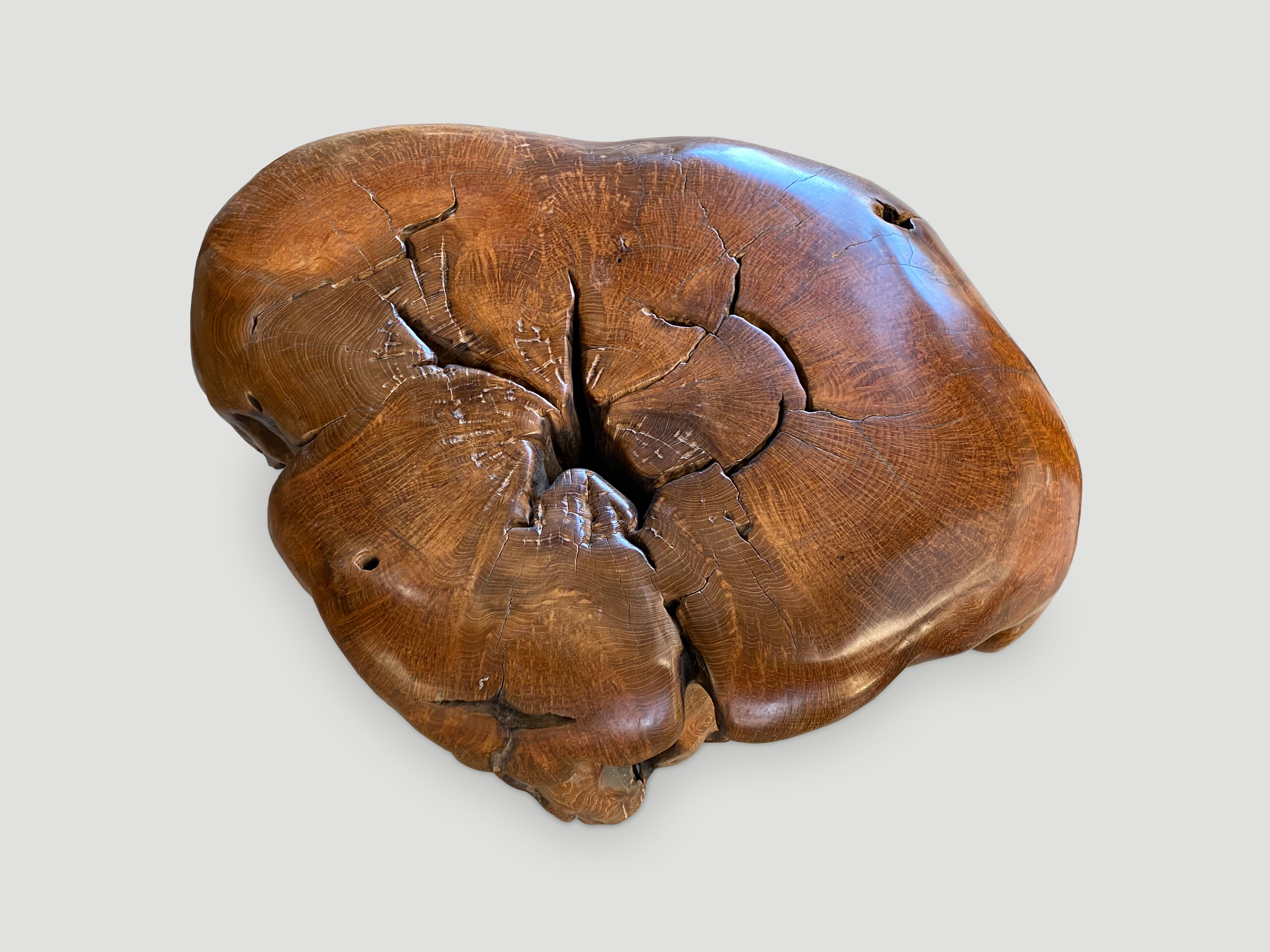 teak burl wood sculptural coffee table