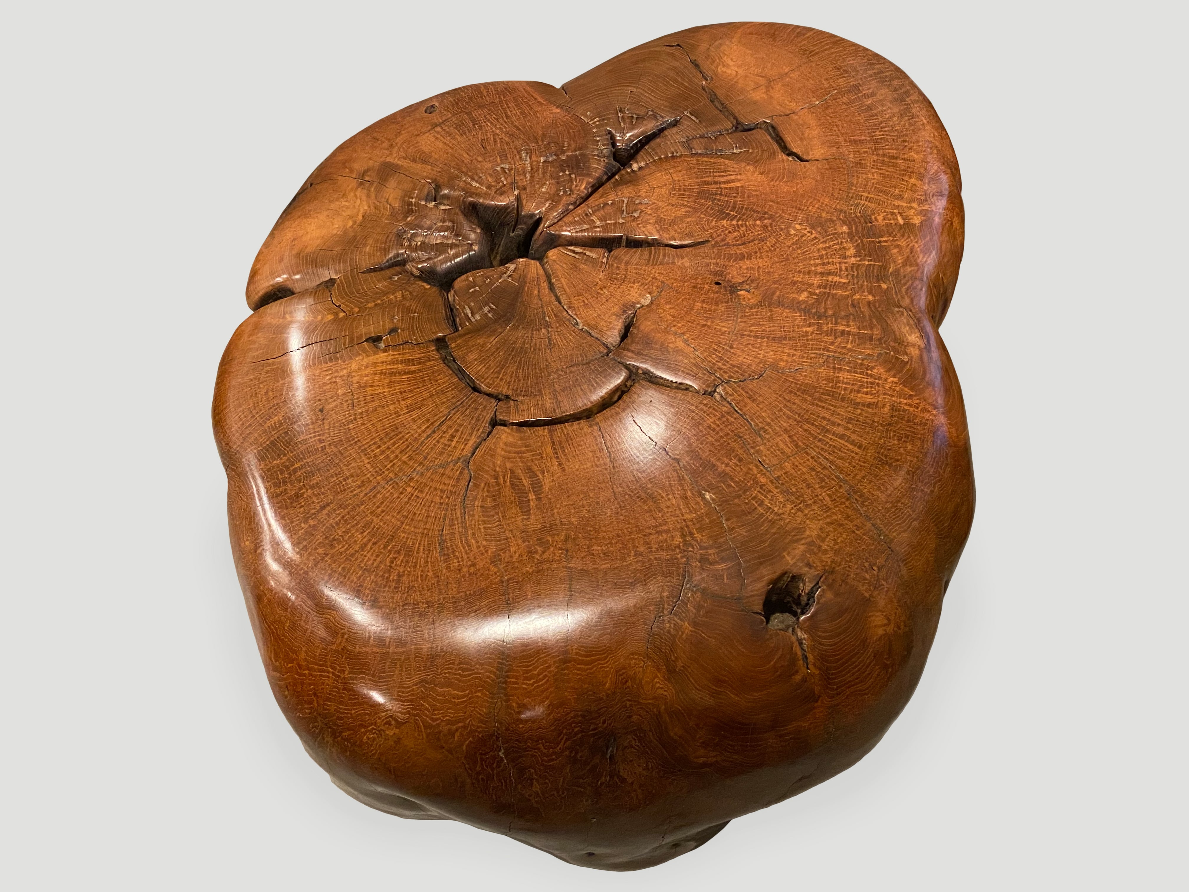 teak burl wood sculptural coffee table