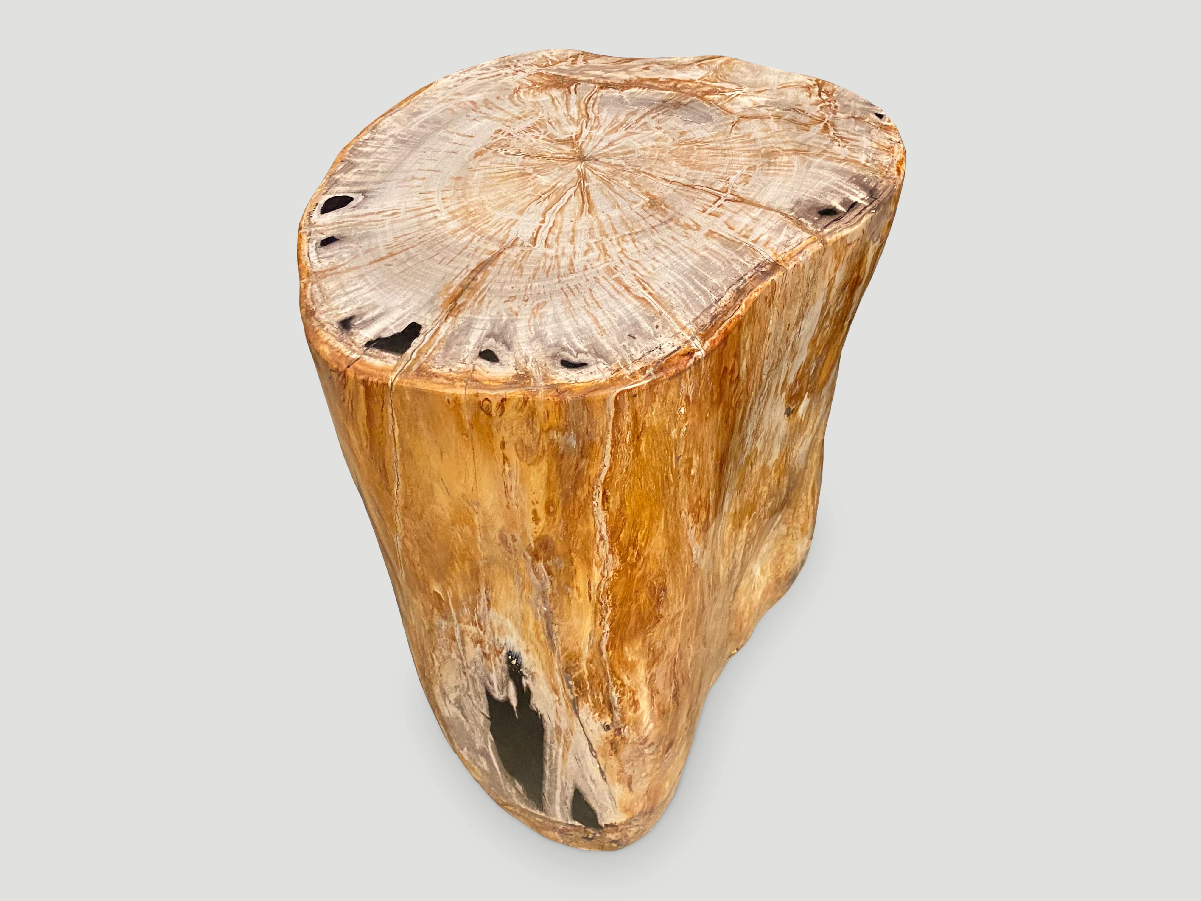 petrified wood side table