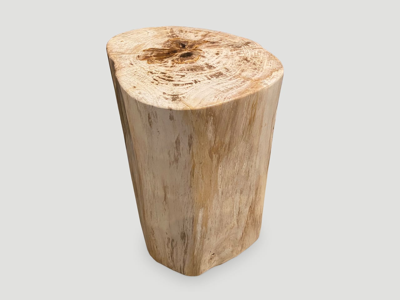 High quality petrified wood side table