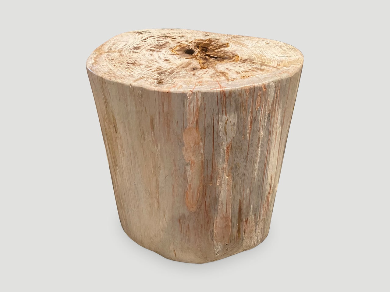 High quality petrified wood side table