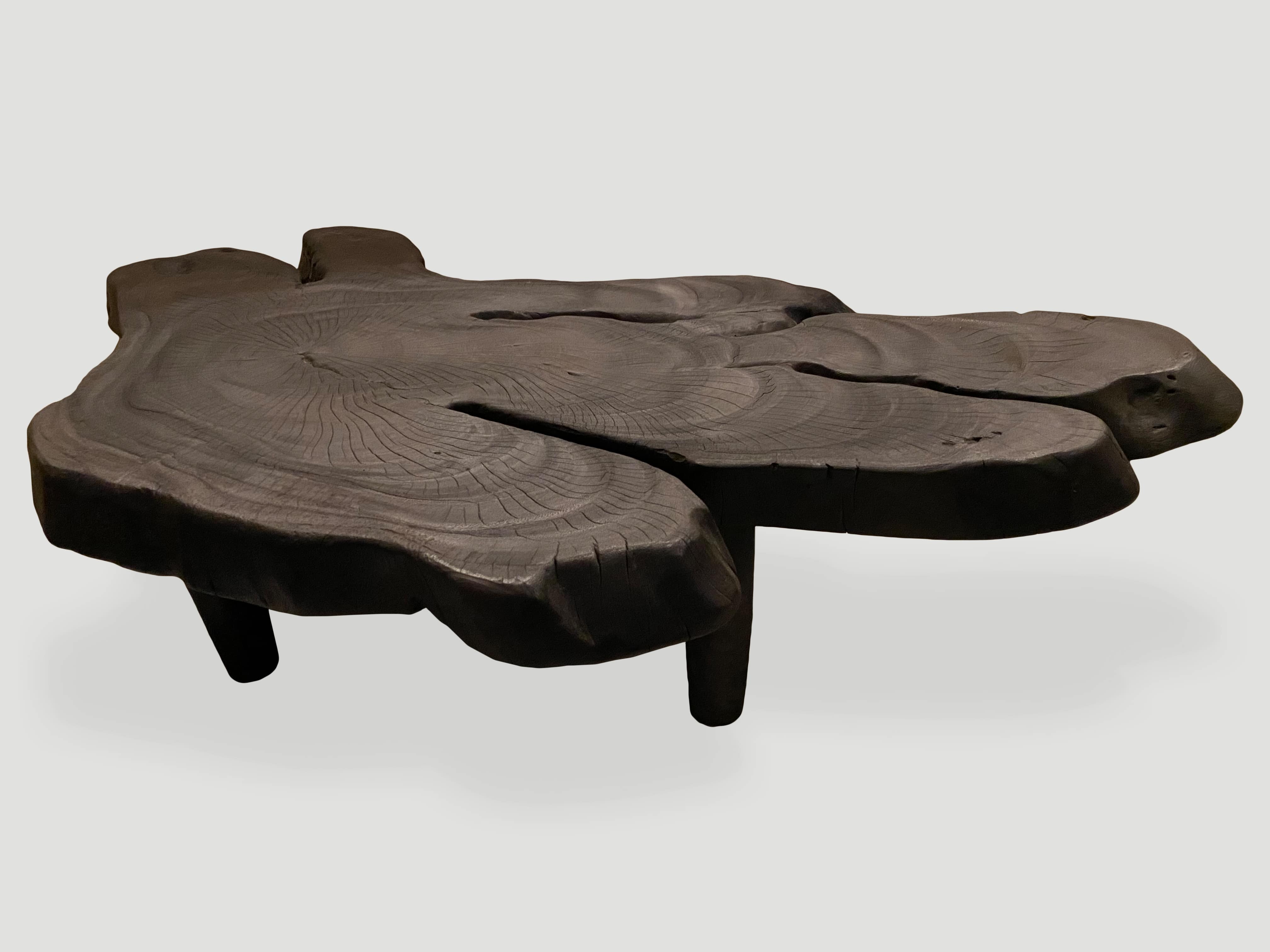 amorphous charred suar wood coffee table