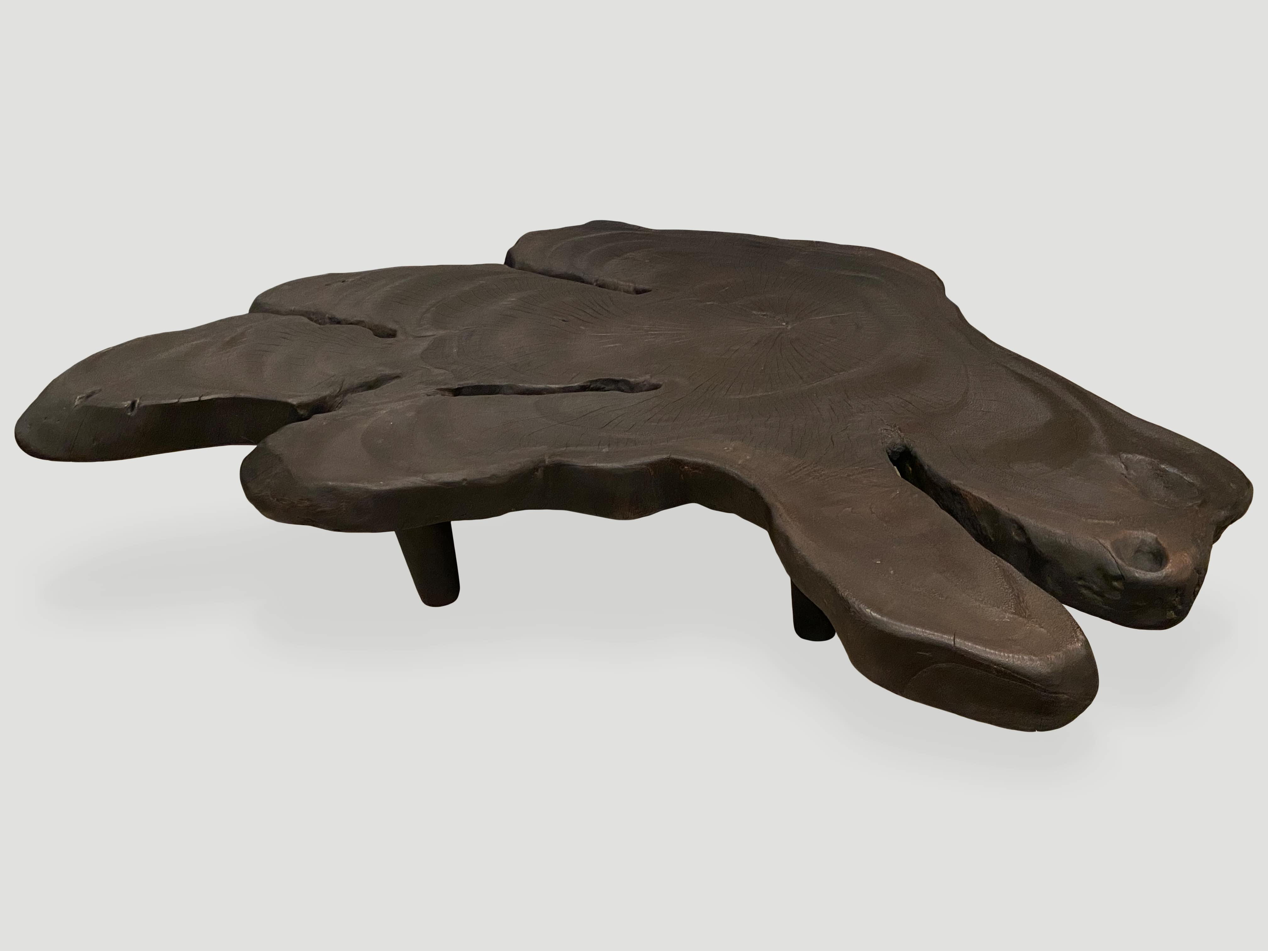 amorphous charred suar wood coffee table