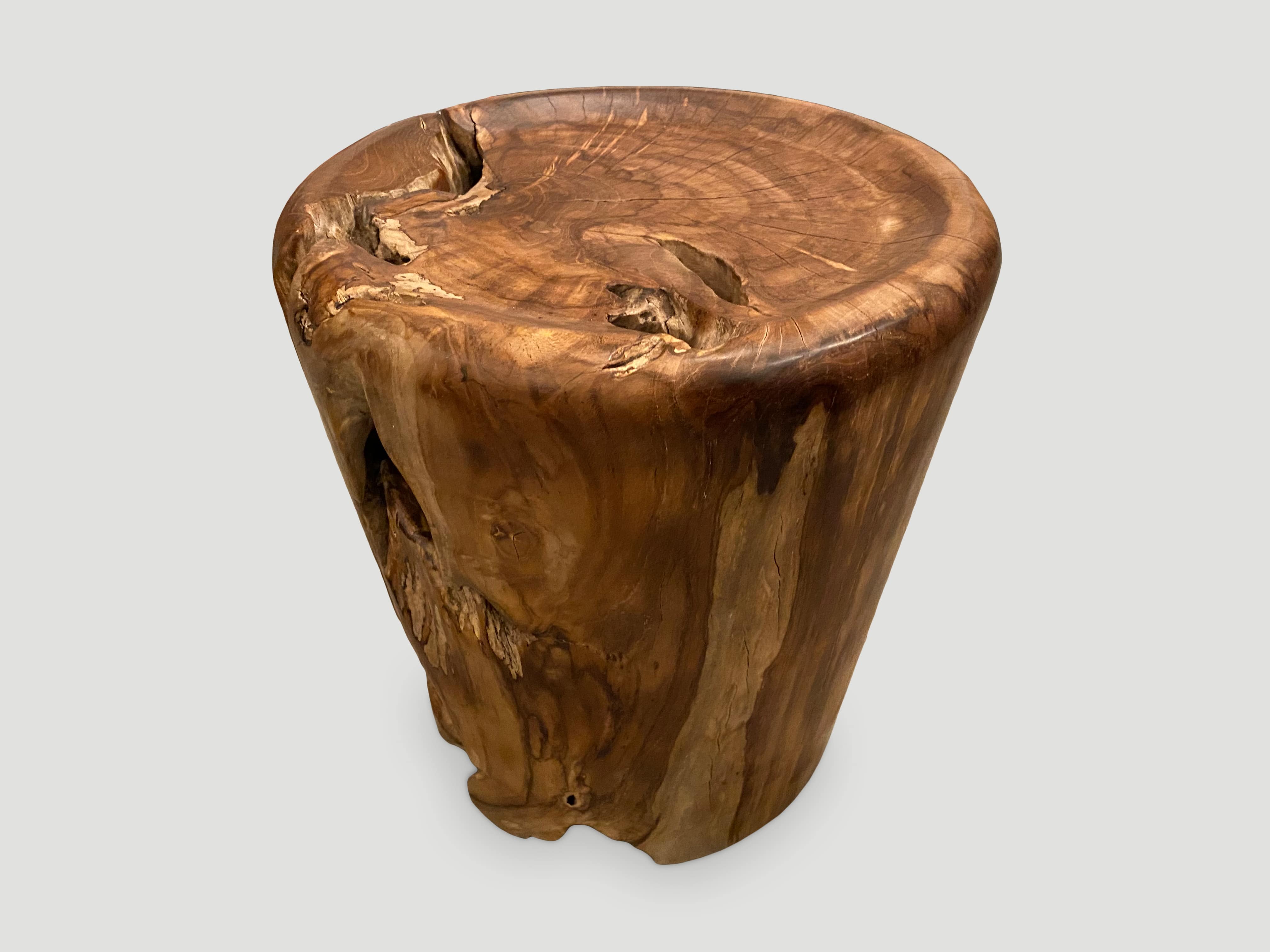 organic formed reclaimed teak root side table