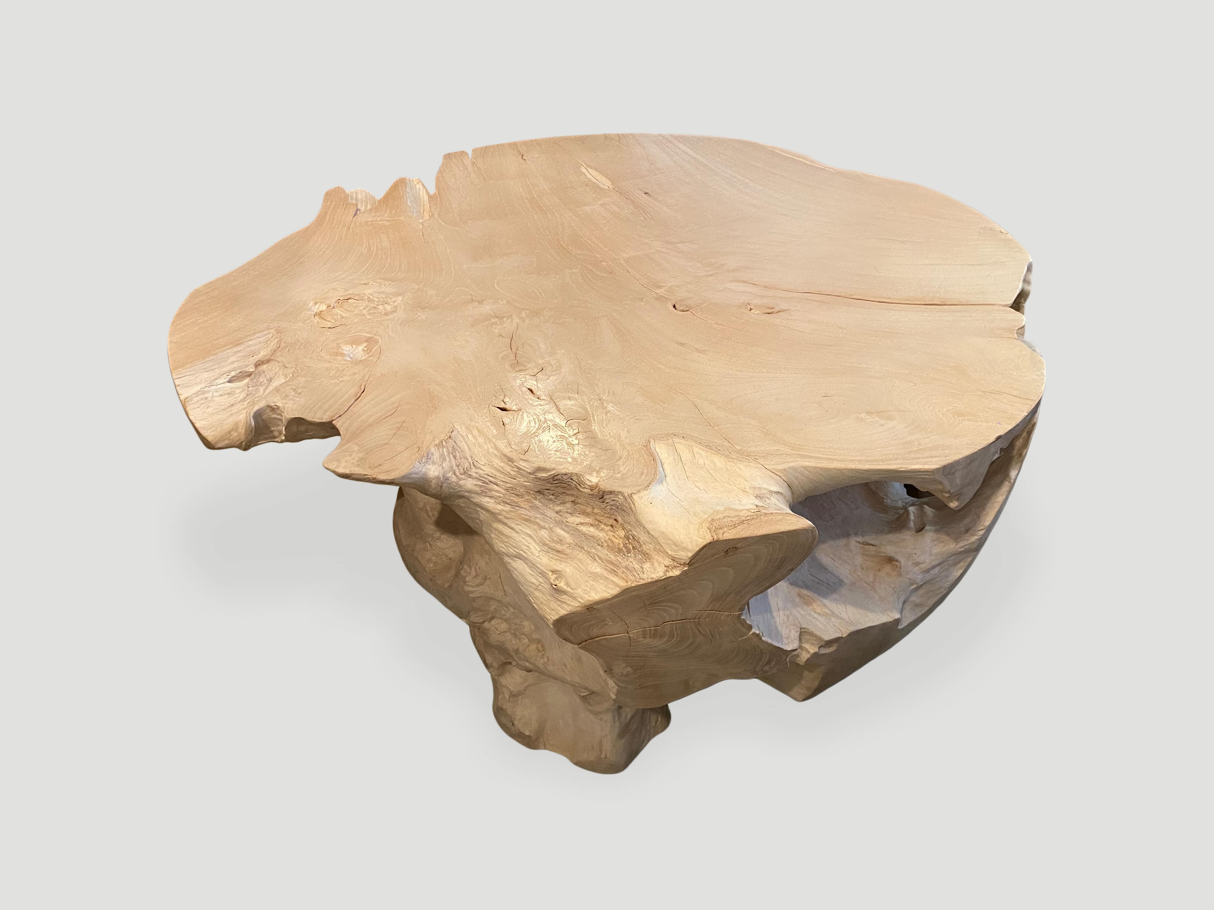 impressive bleached teak wood coffee table