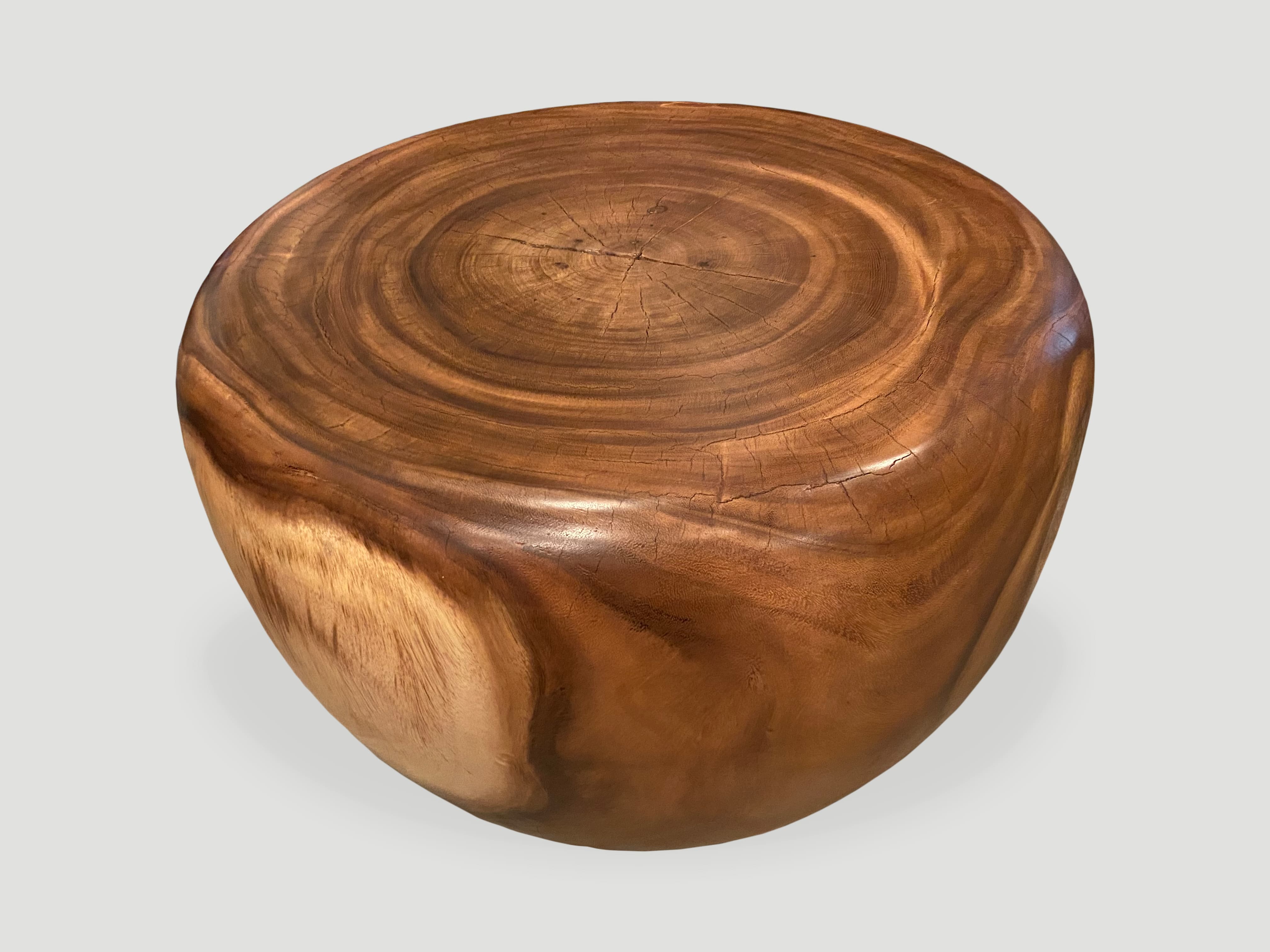 drum shape suar wood coffee table
