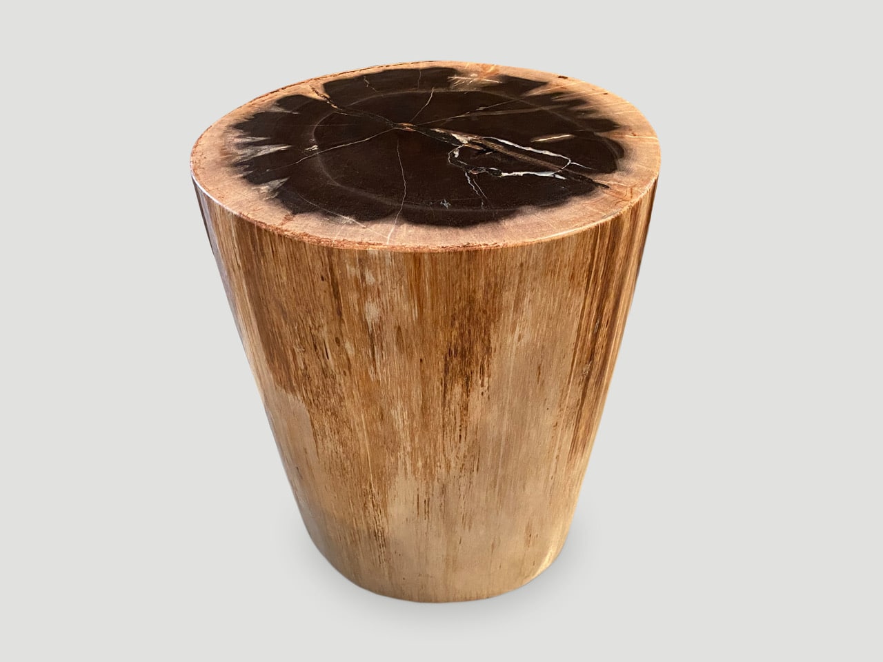 beautiful round petrified wood side table