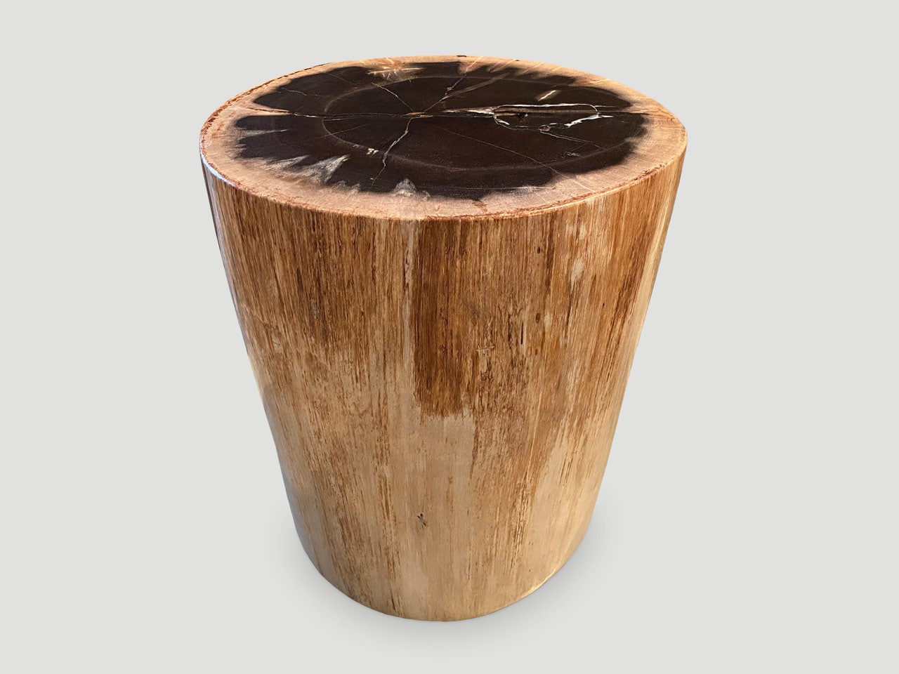 beautiful round petrified wood side table