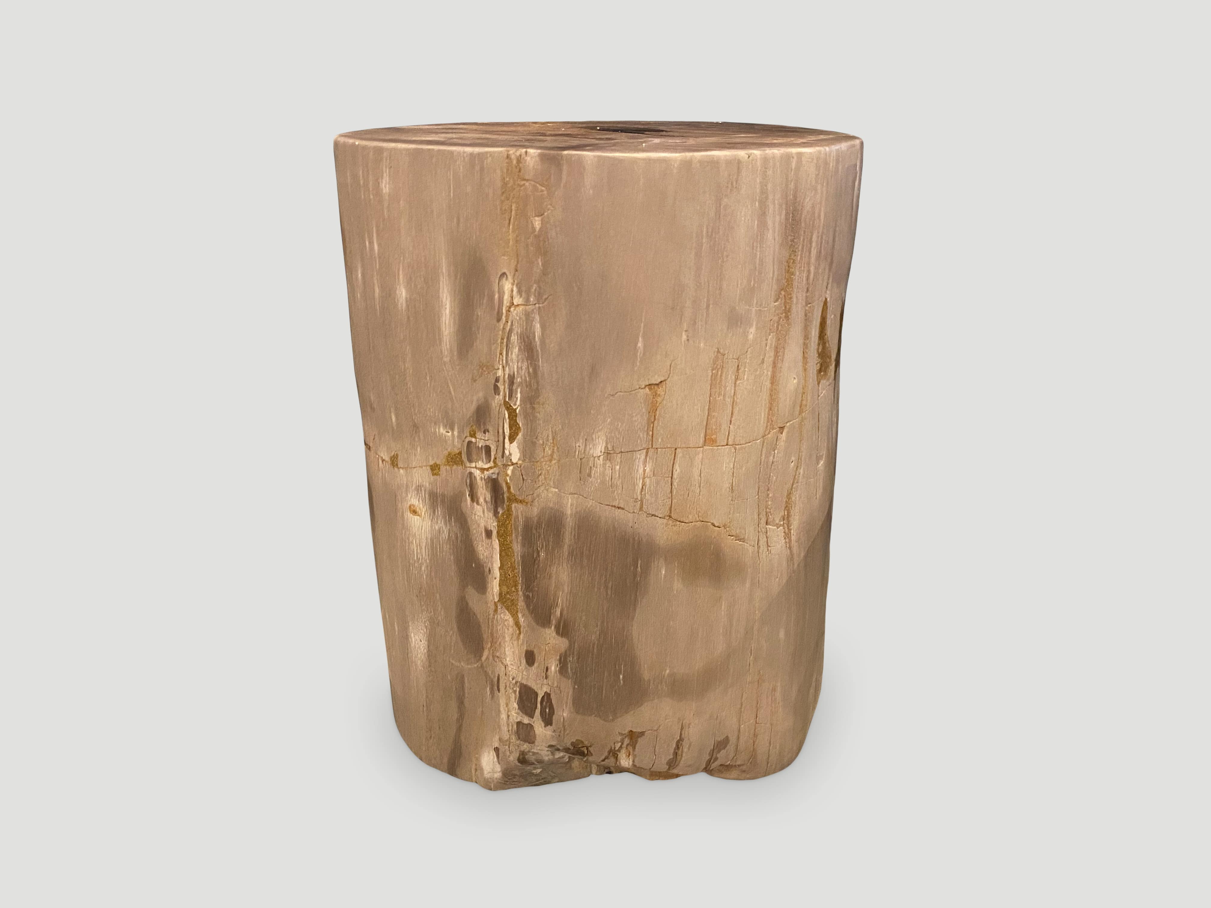 petrified side table with resin