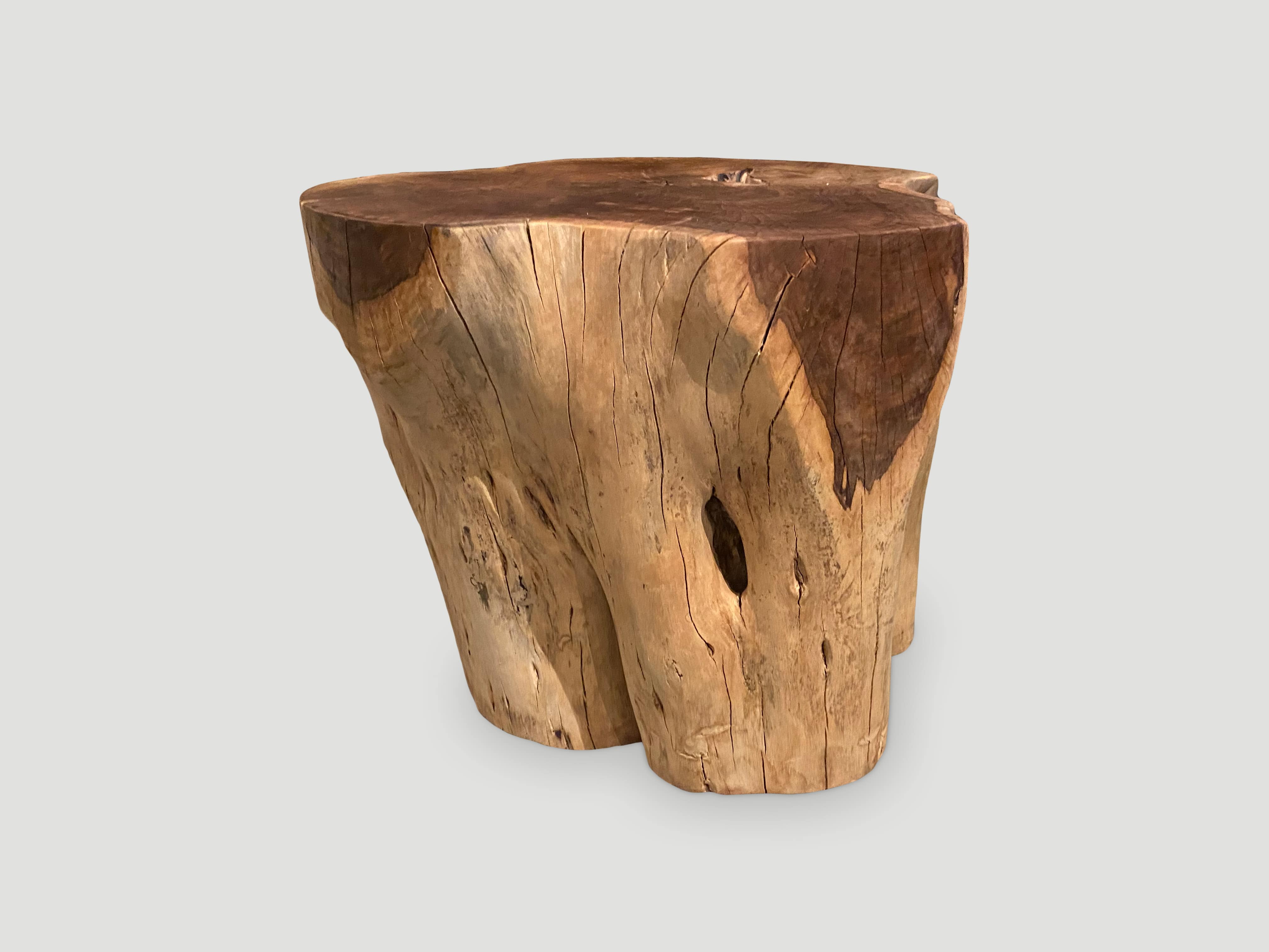 two toned sono wood side table