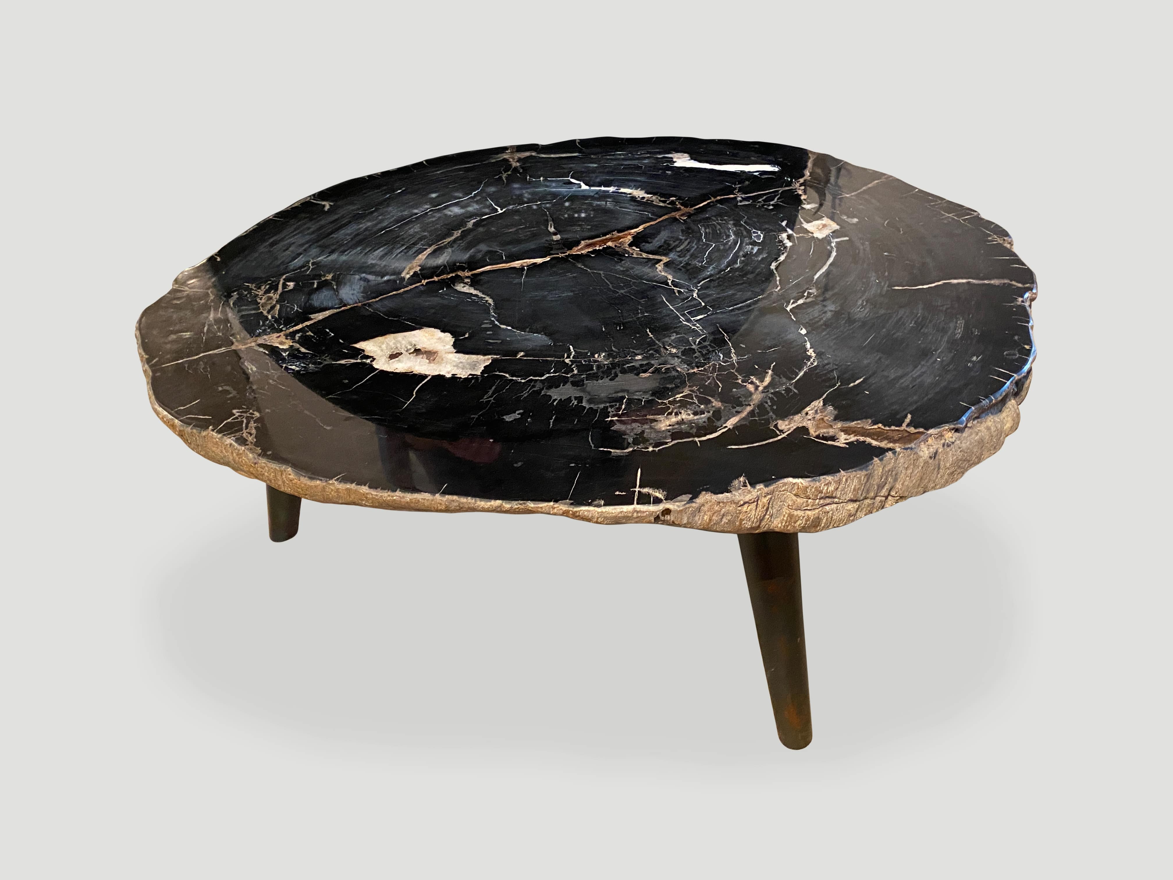 petrified wood three inch slab coffee table