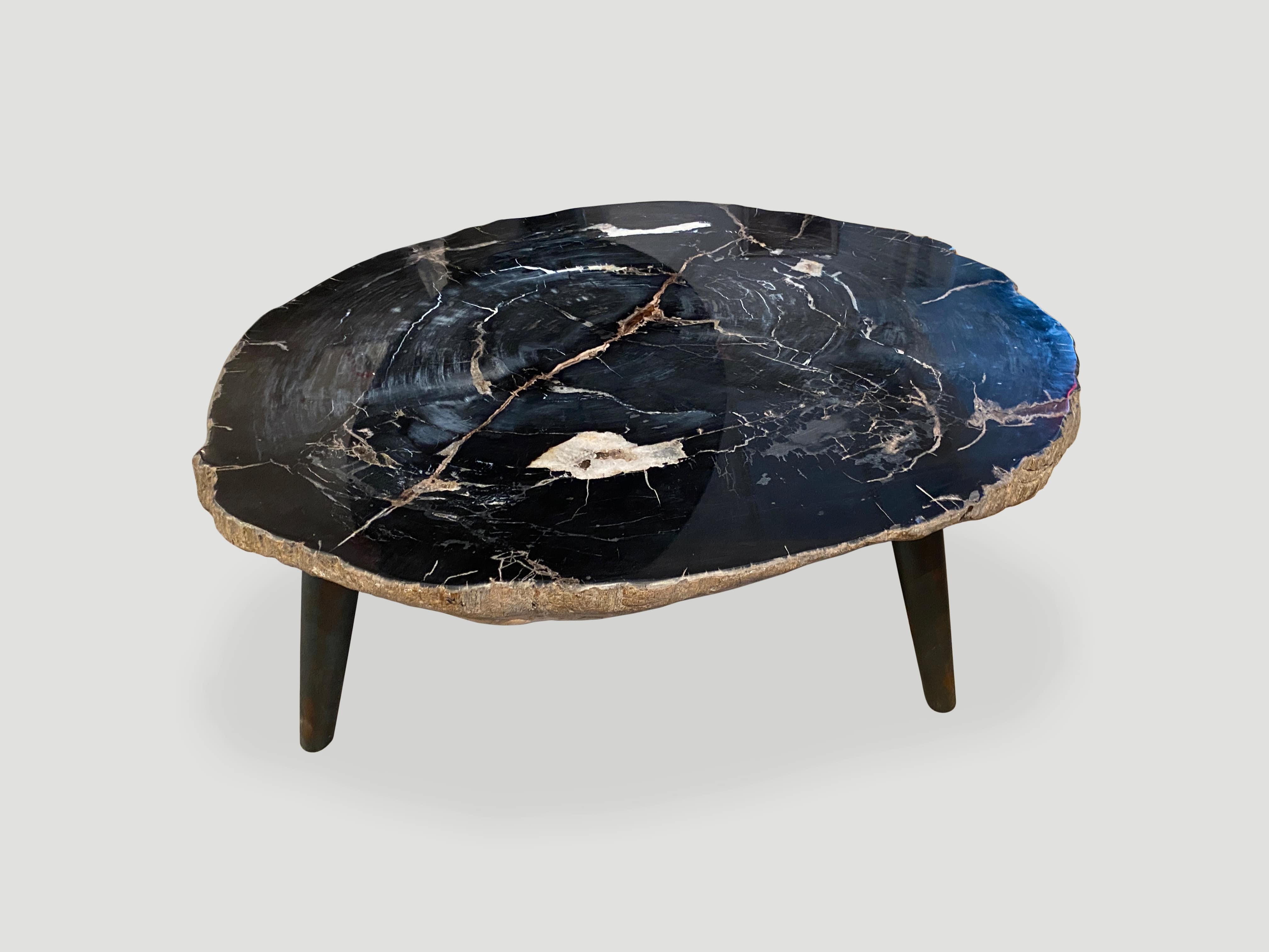 petrified wood three inch slab coffee table