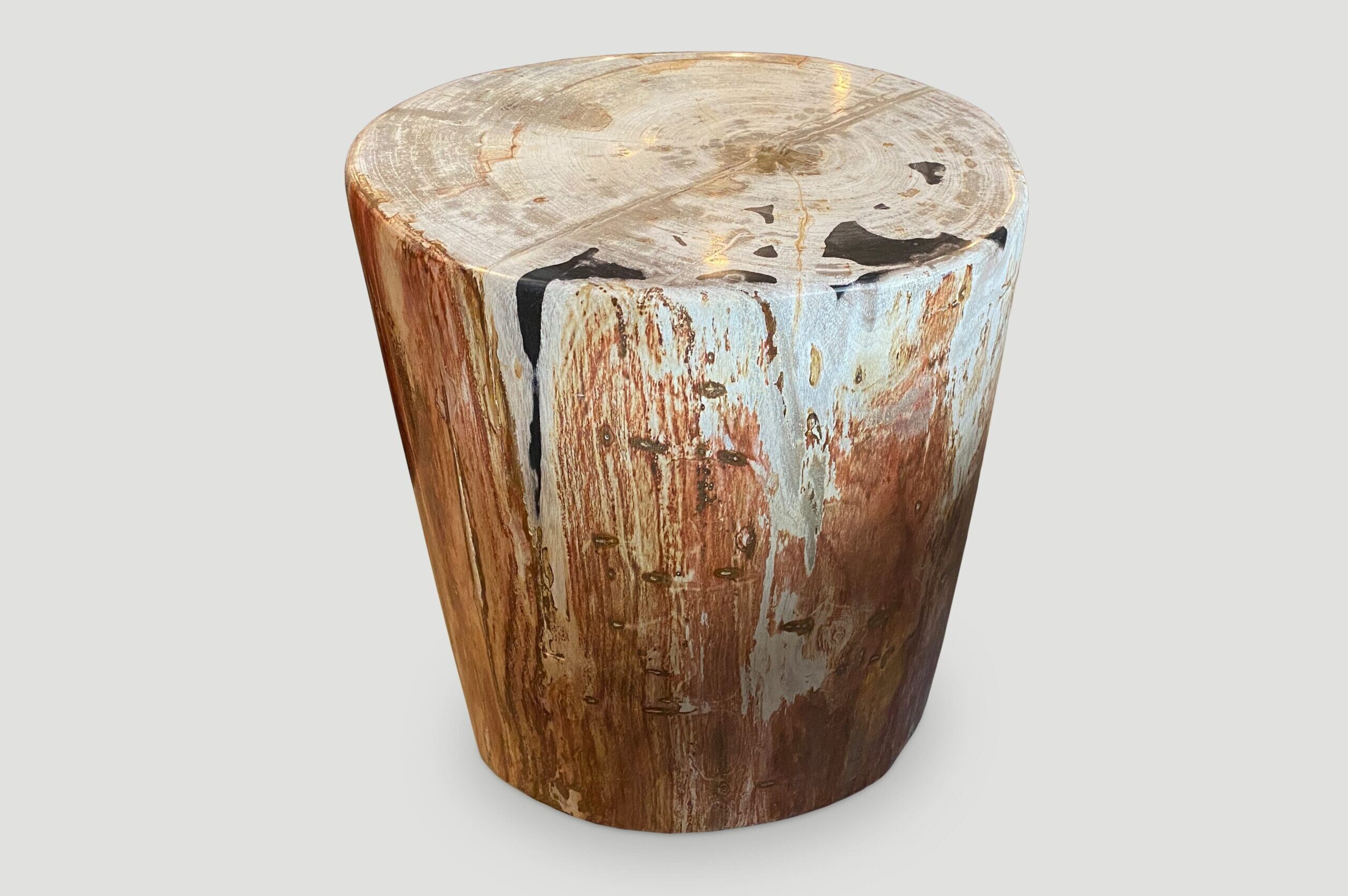 high quality petrified wood side table