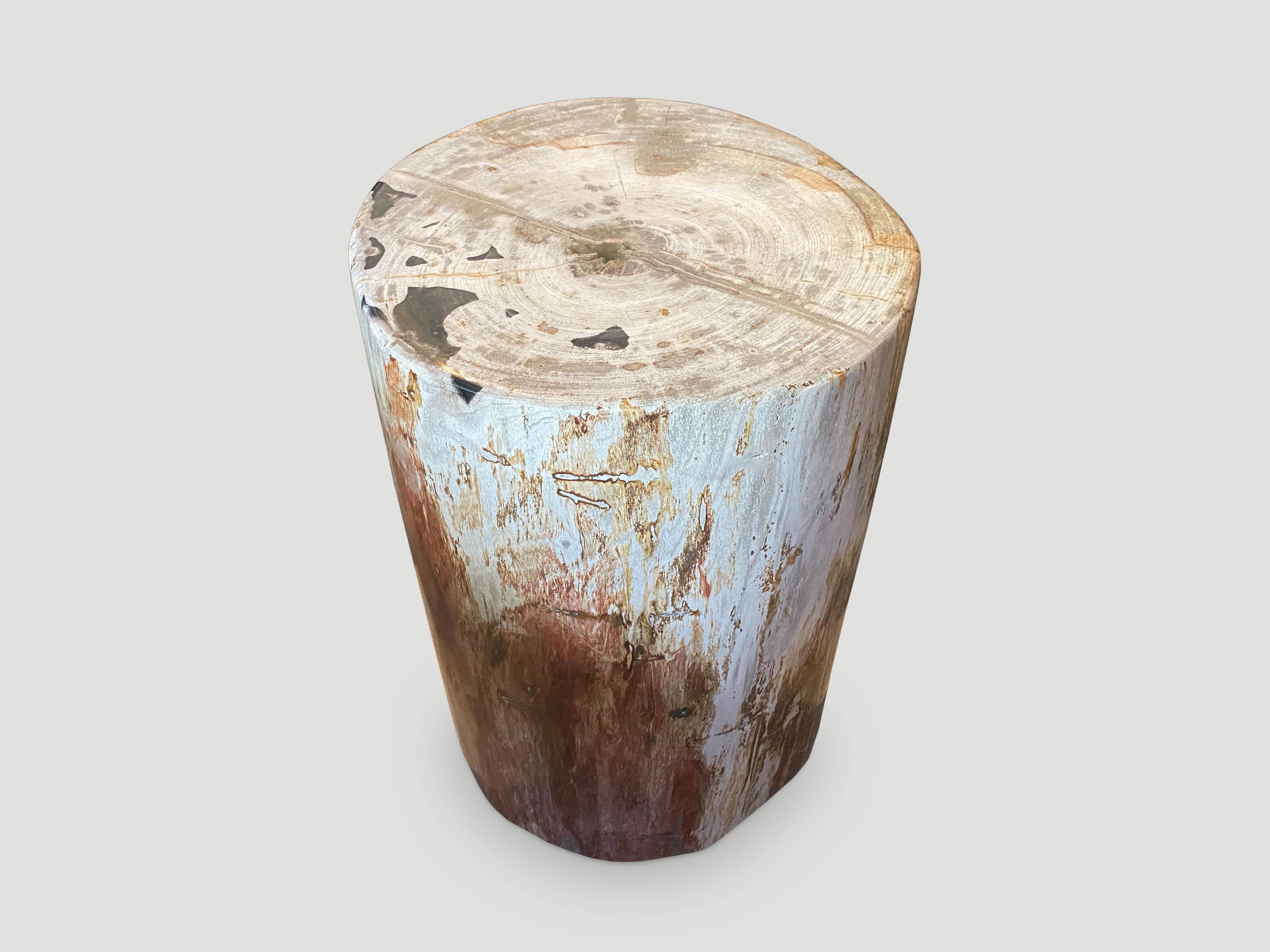 high quality petrified wood side table