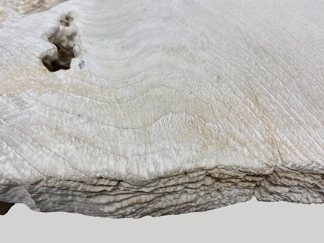 bleached teak coffee table or bench with natural erosion
