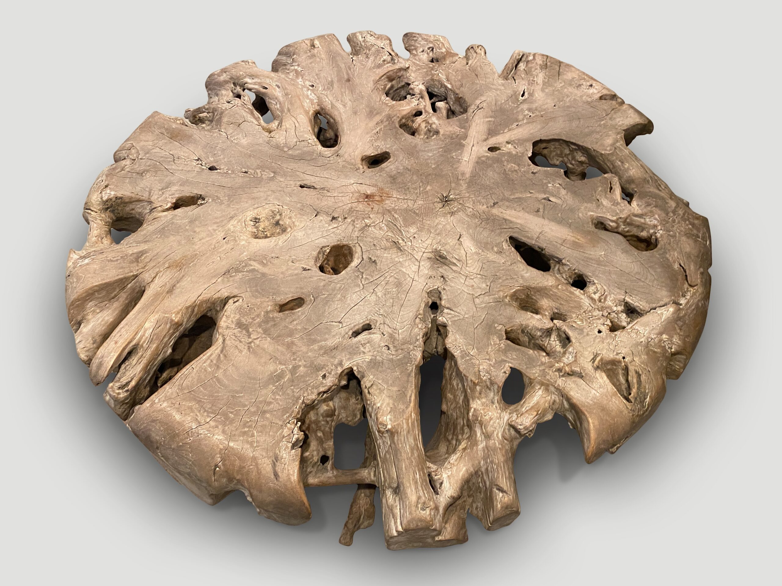 teak root coffee table