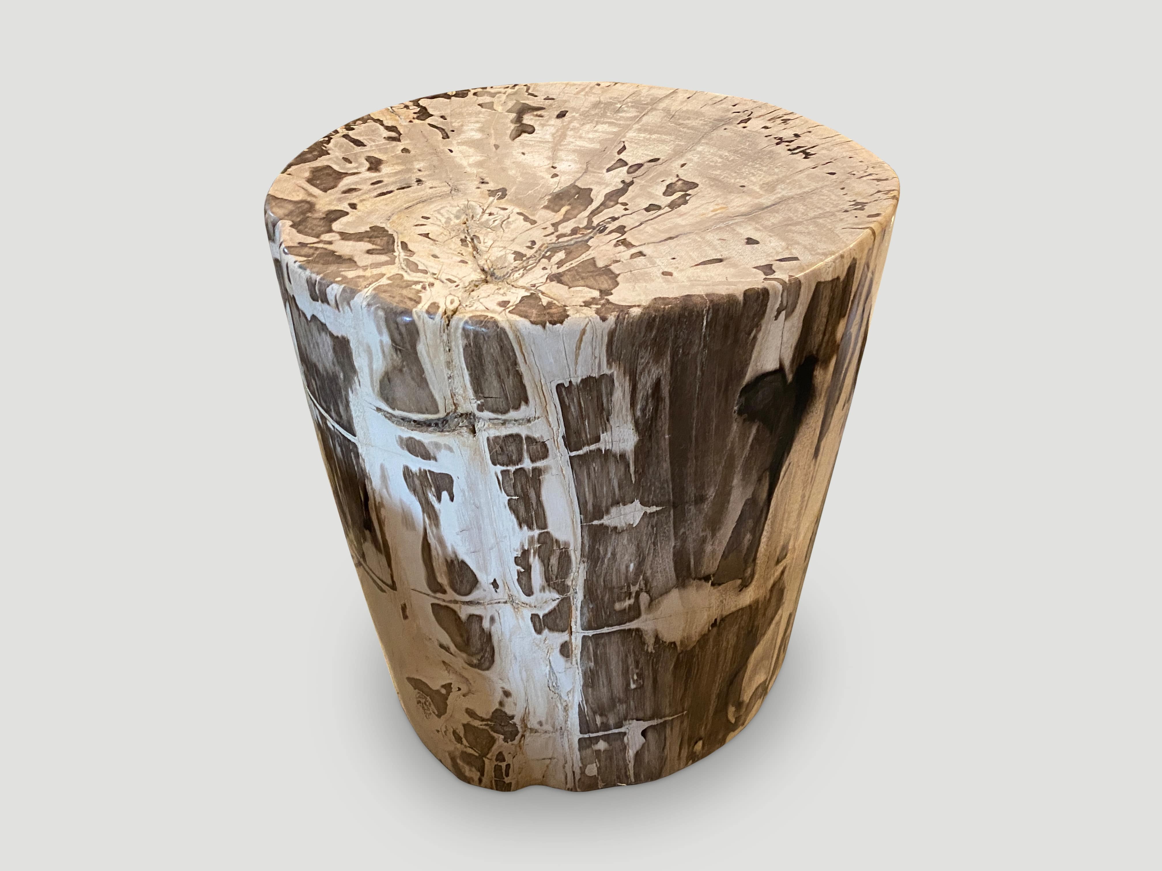 high quality petrified wood side table