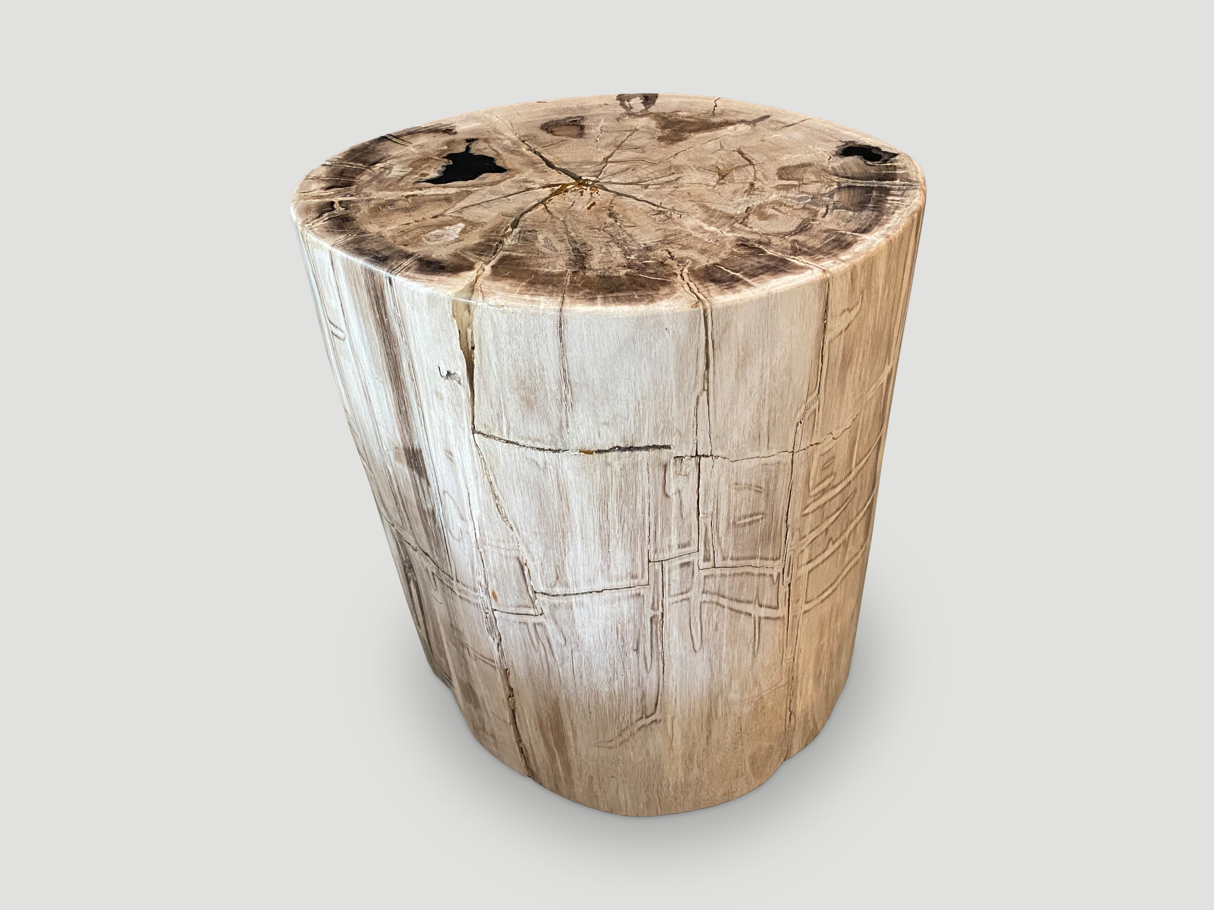 petrified wood side table
