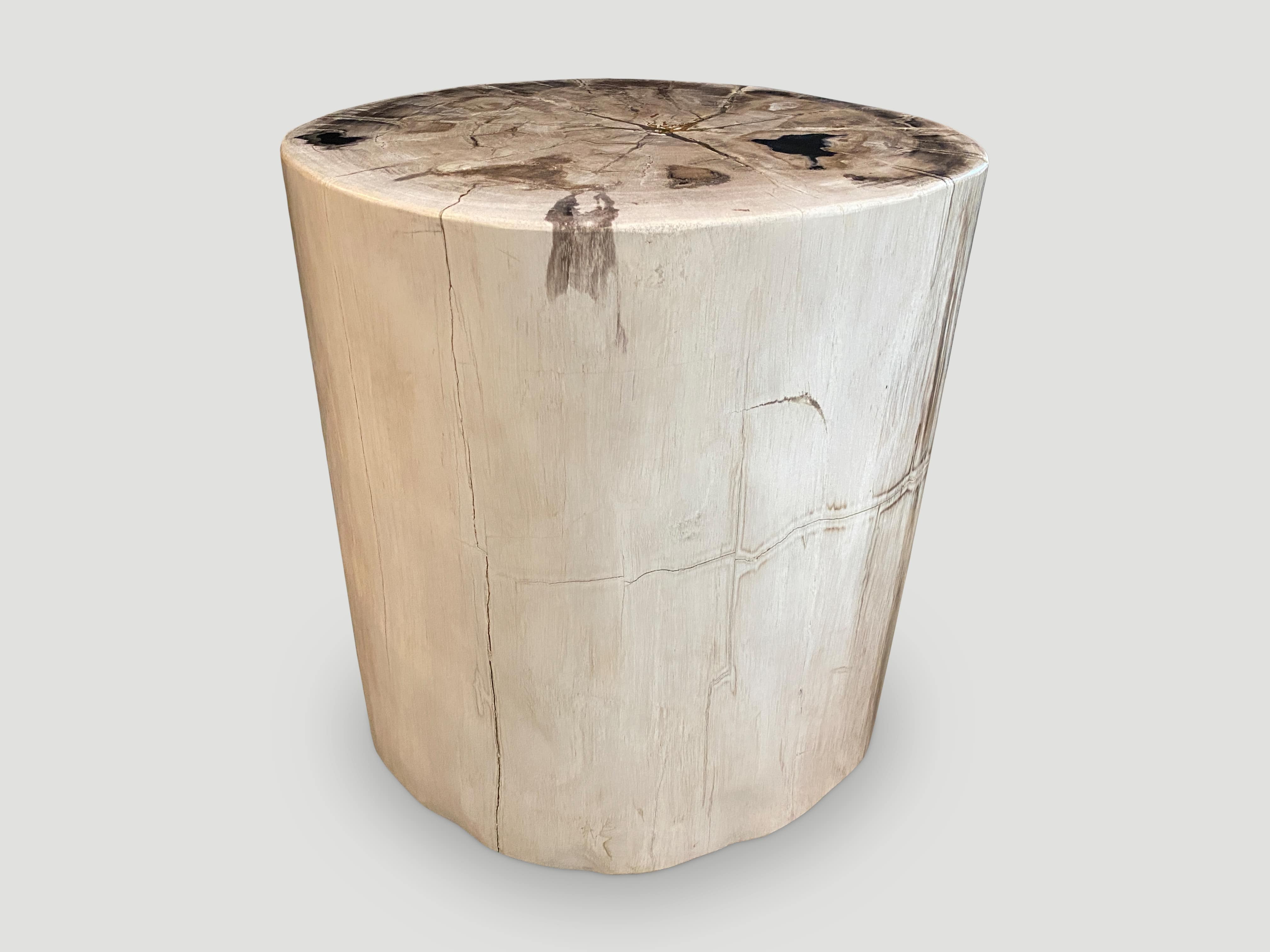 petrified wood side table