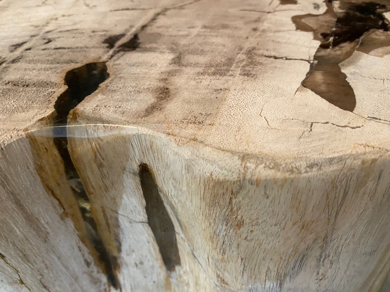 two tone petrified wood side table