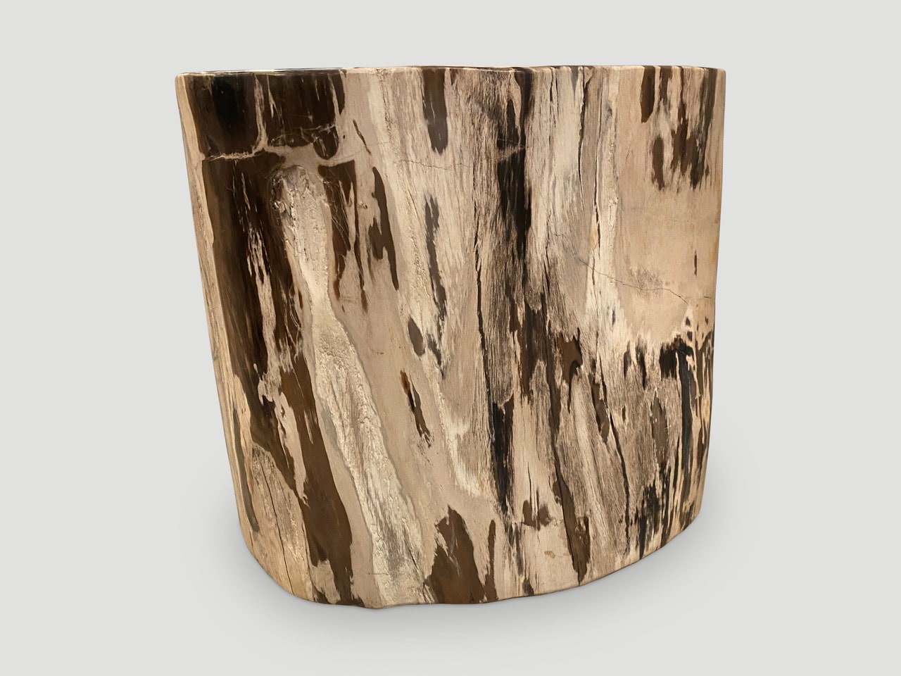 contrasting toned ancient petrified wood side table