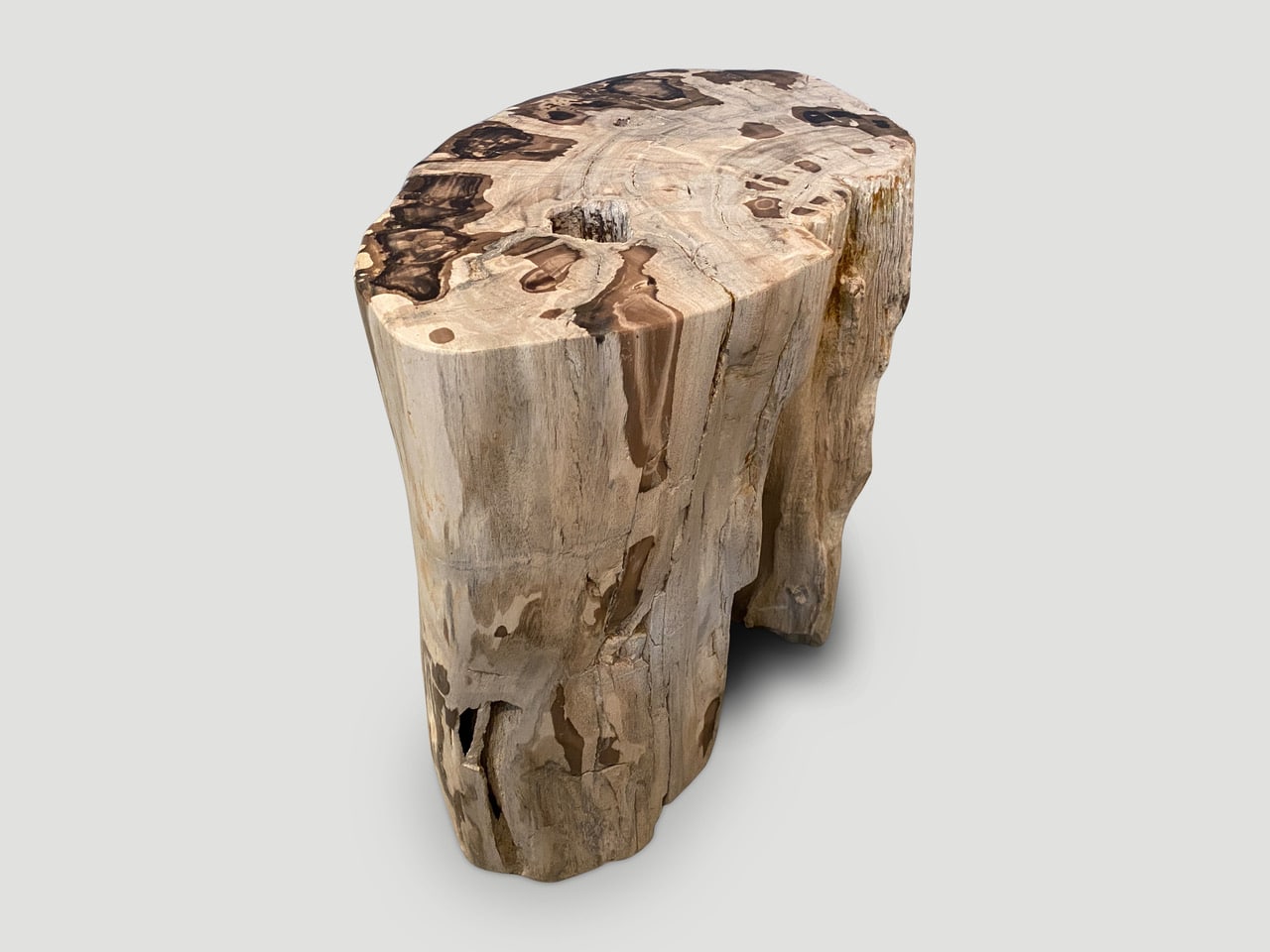 contrasting toned ancient petrified wood side table
