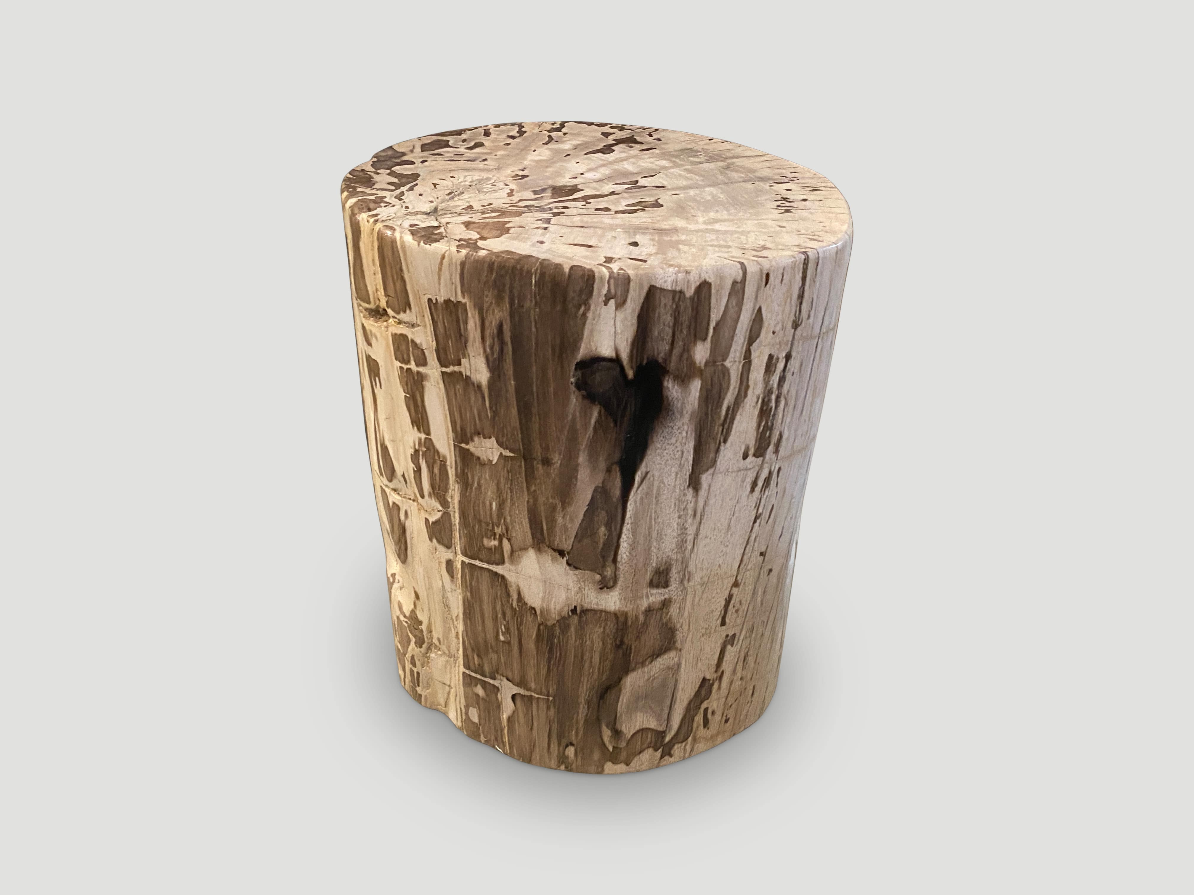 high quality petrified wood side table