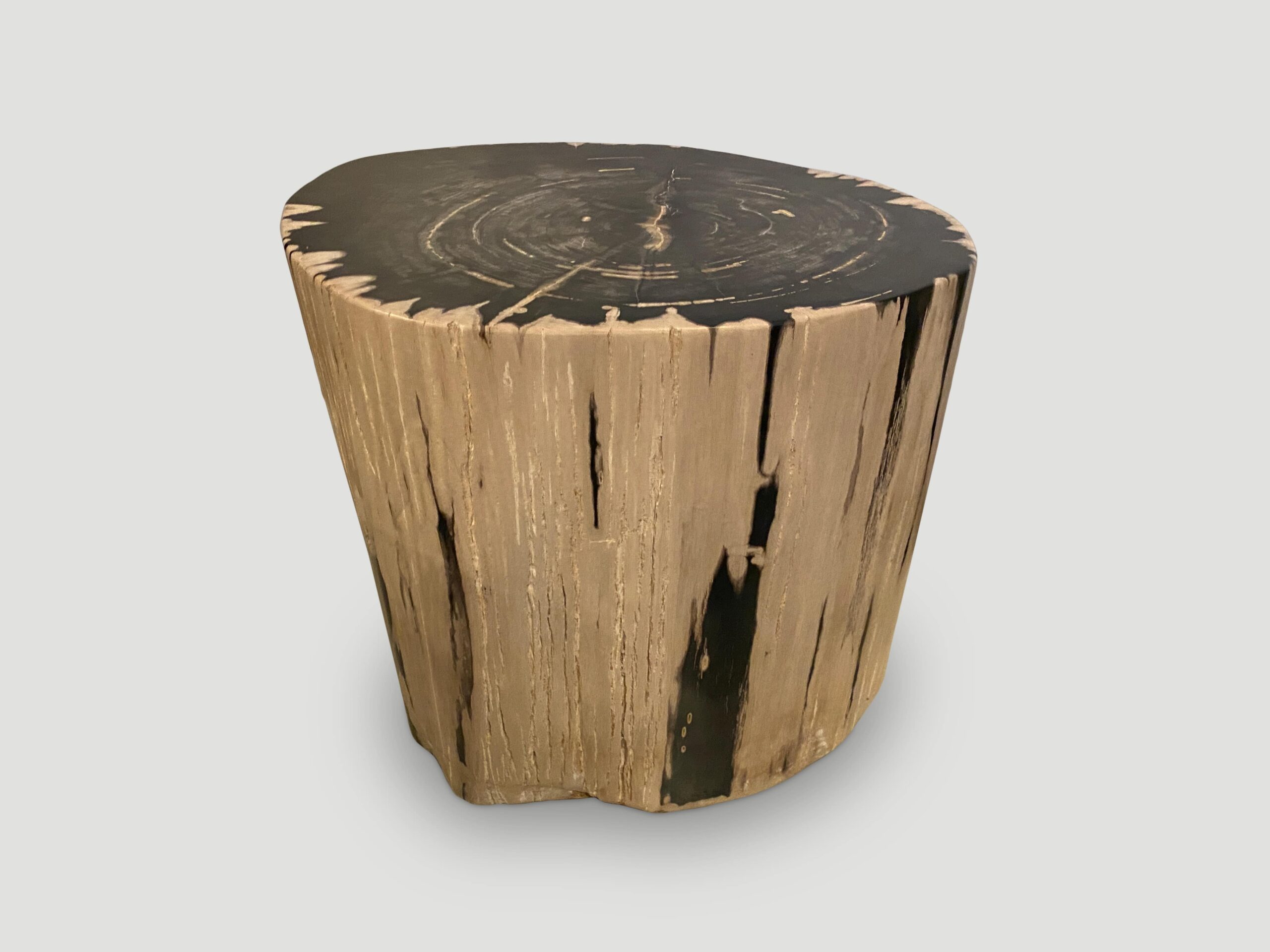 high quality petrified wood side table