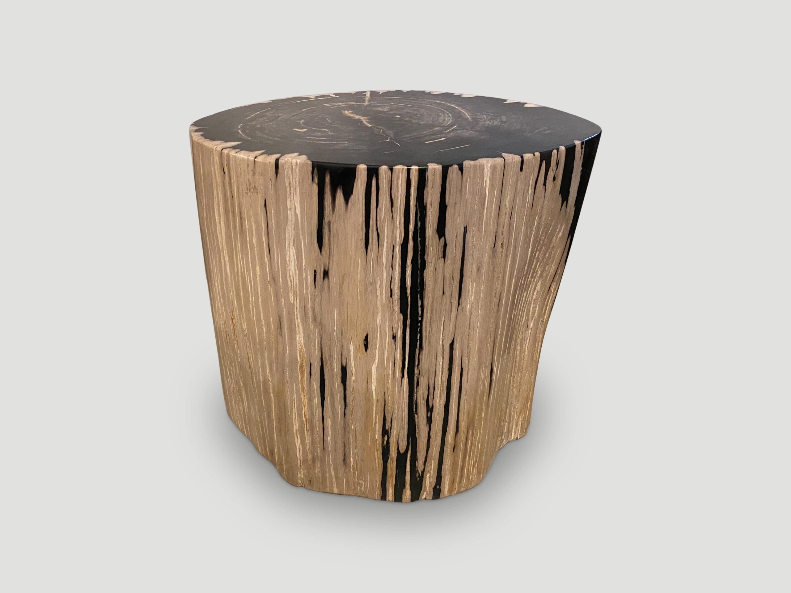 high quality petrified wood side table