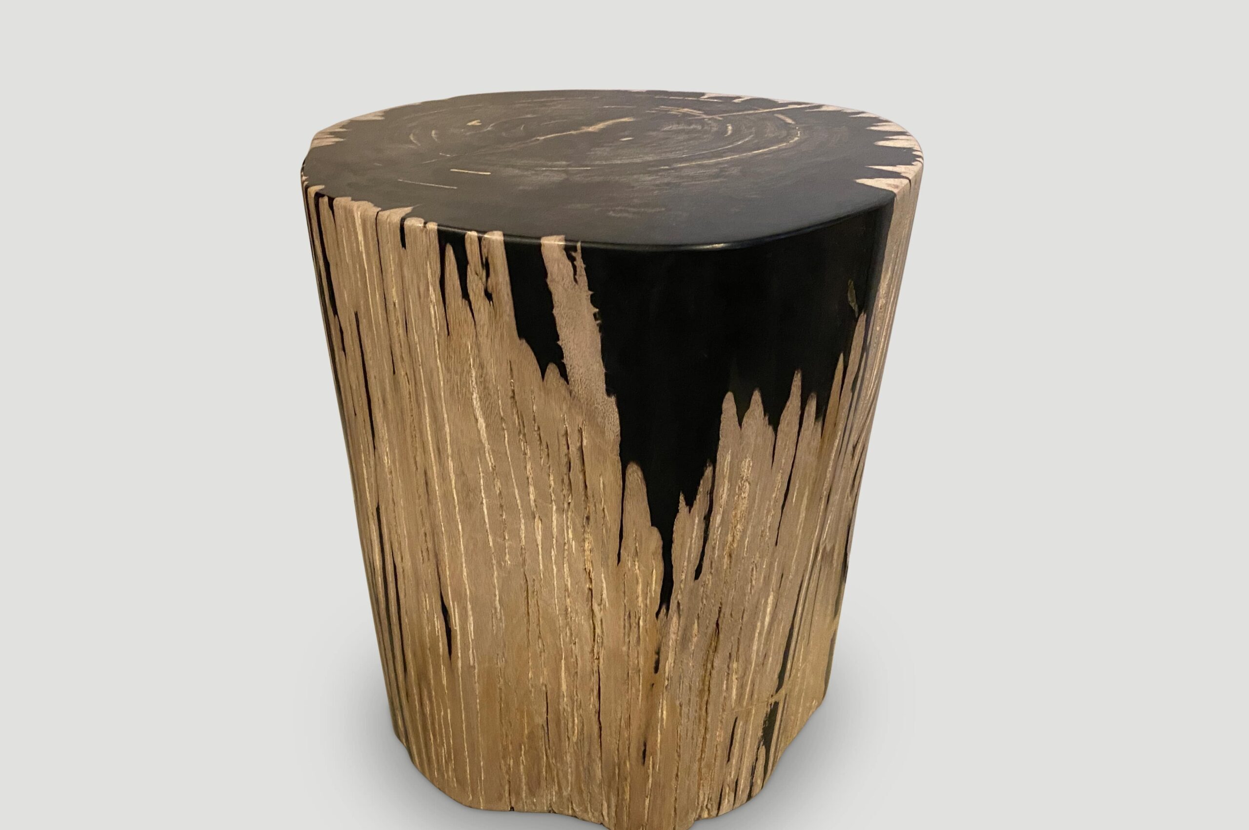 high quality petrified wood side table