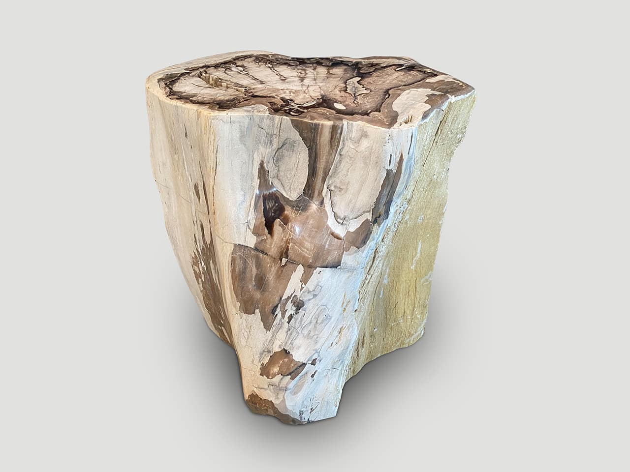 Petrified Wood Side Table with Crystals 1111K Andrianna Shamaris
