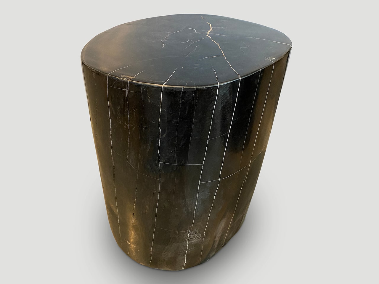 SUPER SMOOTH HIGH QUALITY PETRIFIED WOOD SIDE TABLE