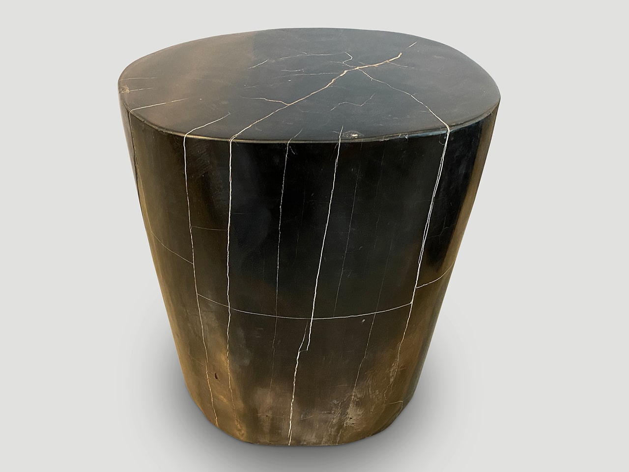SUPER SMOOTH HIGH QUALITY PETRIFIED WOOD SIDE TABLE