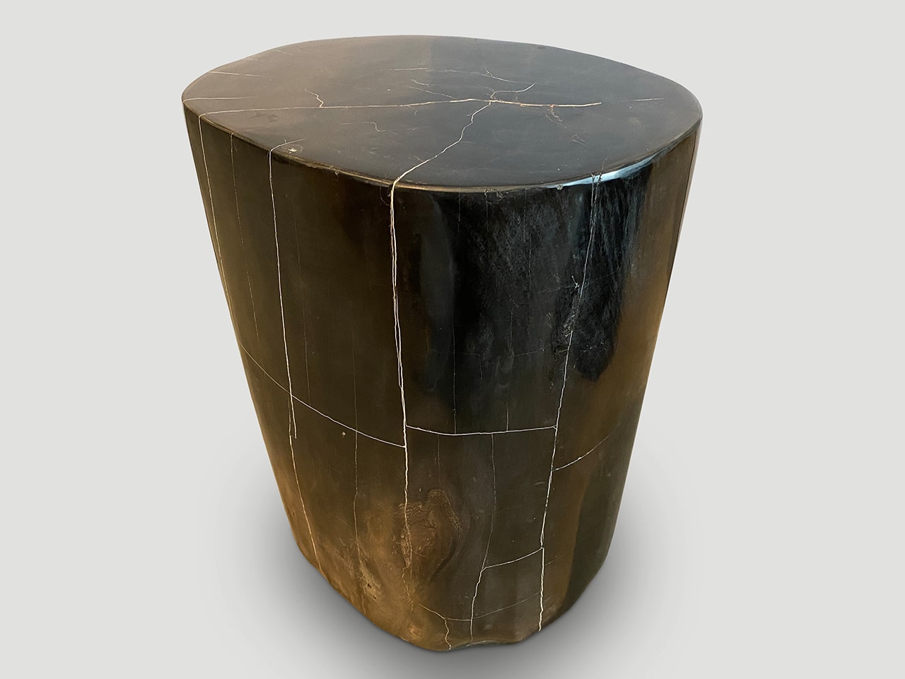 SUPER SMOOTH HIGH QUALITY PETRIFIED WOOD SIDE TABLE