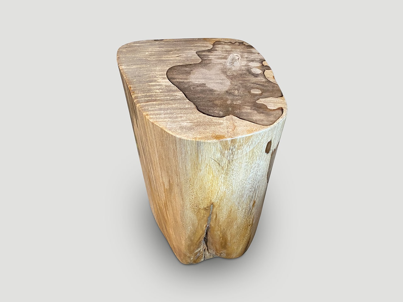 minimalist petrified wood side table with stunning markings