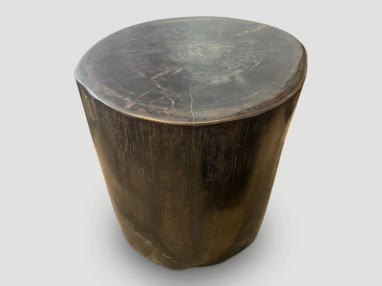 super smooth high quality petrified wood side table
