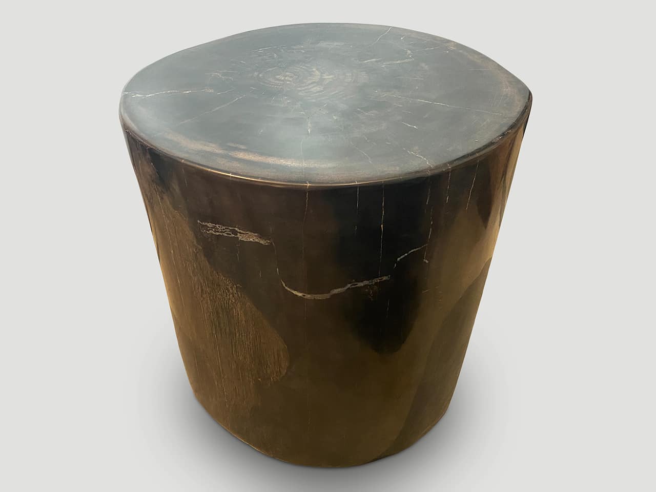super smooth high quality petrified wood side table