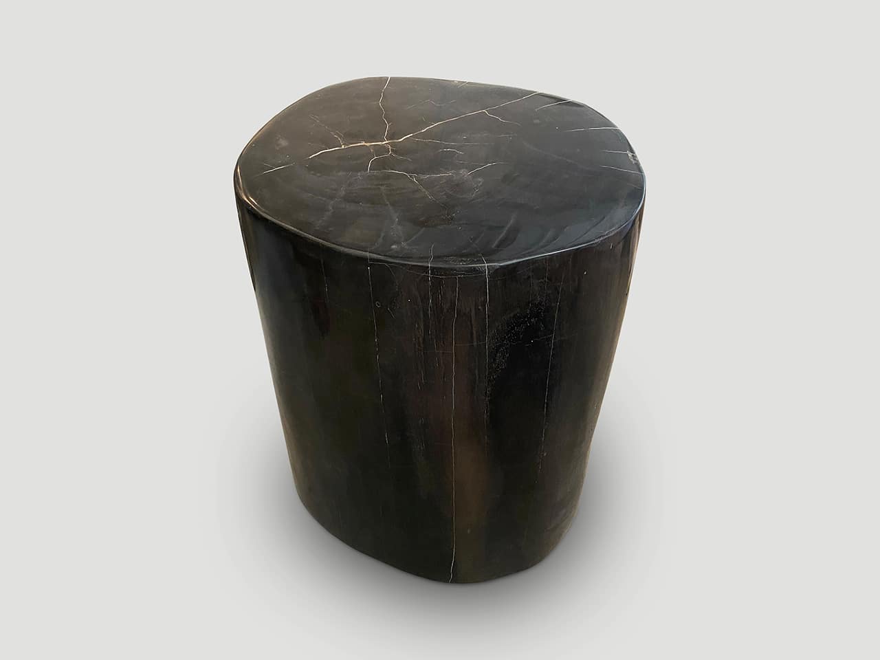 SUPER SMOOTH HIGH QUALITY PETRIFIED WOOD SIDE TABLE