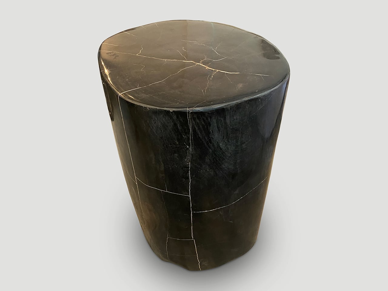 SUPER SMOOTH HIGH QUALITY PETRIFIED WOOD SIDE TABLE