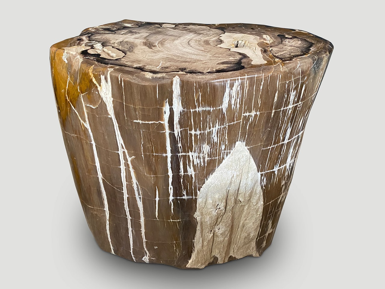 ANCIENT PETRIFIED WOOD SIDE TABLE