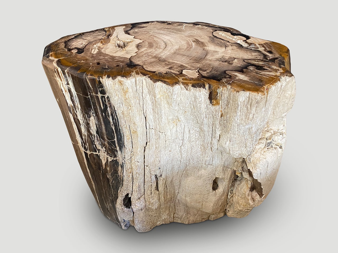 ANCIENT PETRIFIED WOOD SIDE TABLE